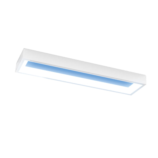 Vista 0.5 ft. x 2 ft. Flat Panel LED Skylight Fixture