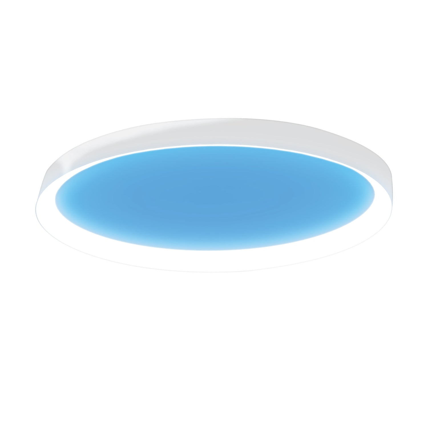 Vista 24 in. Oval Flush Mount LED Skylight Fixture