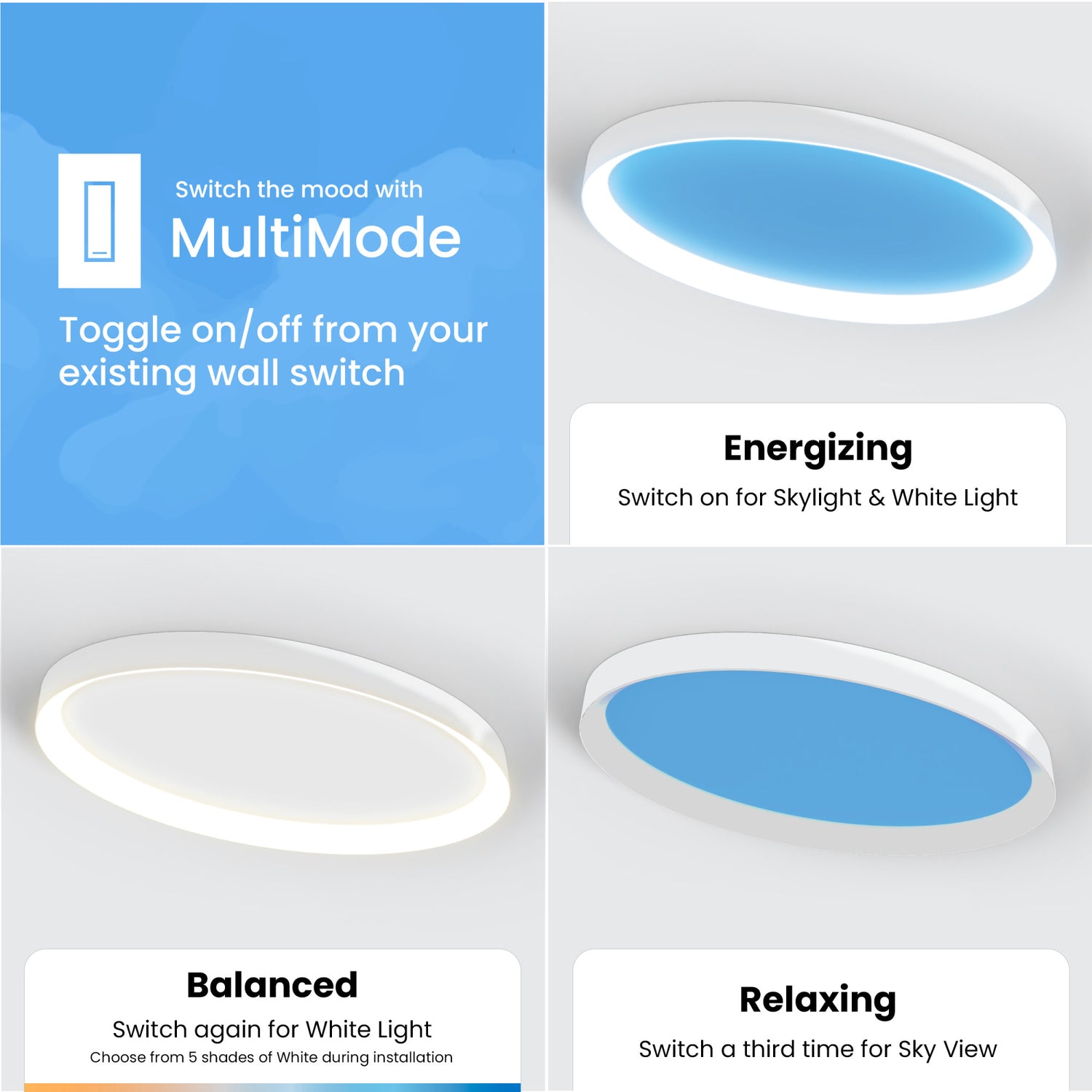 Vista 24 in. Oval Flush Mount LED Skylight Fixture