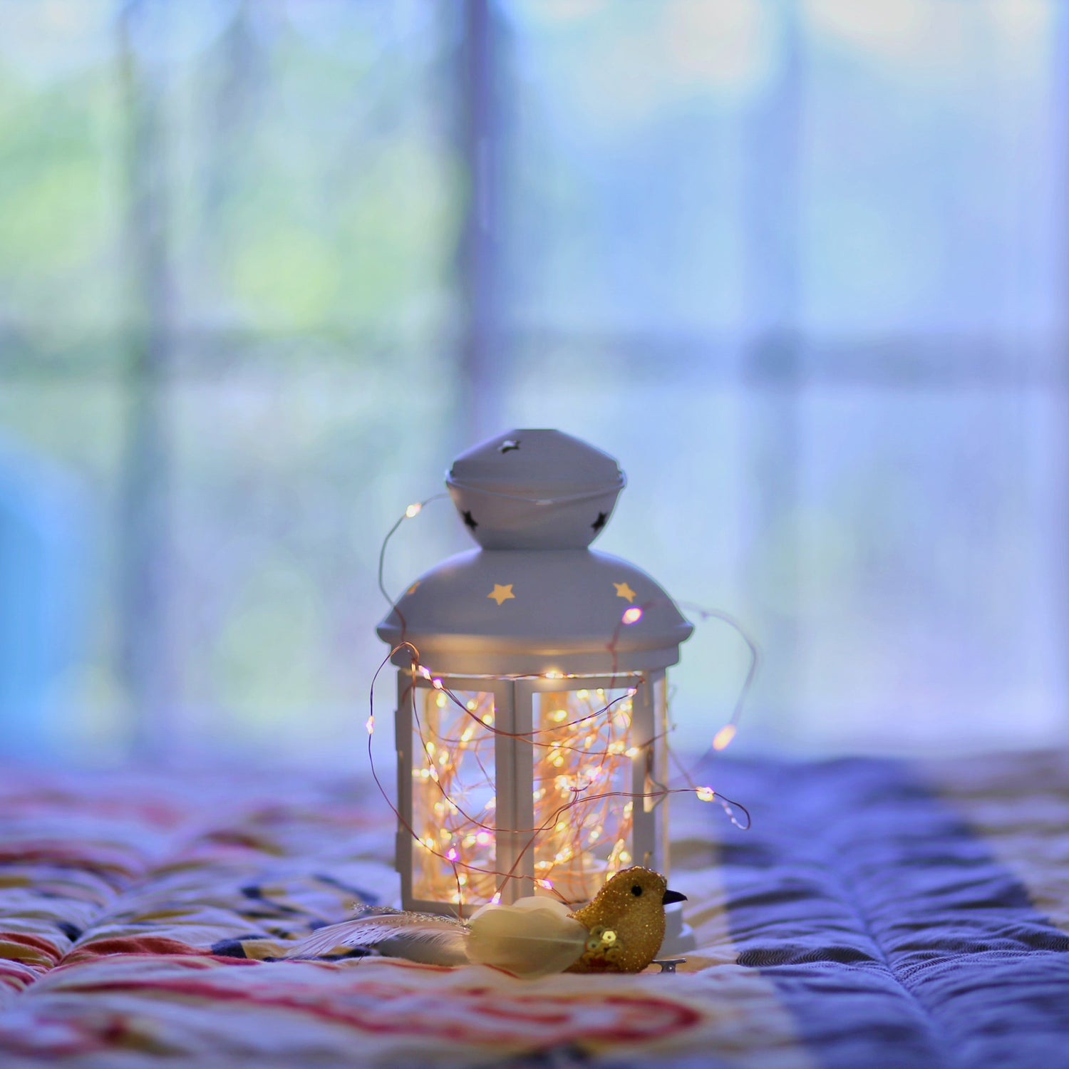 10 ft. Warm White (3000K) USB & Battery Copper Wire Fairy String Light