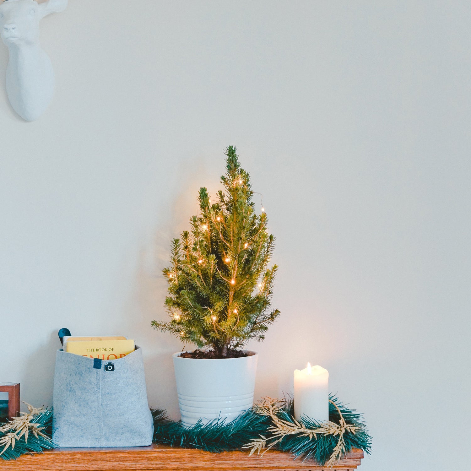 10 ft. Warm White (3000K) USB & Battery Copper Wire Fairy String Light