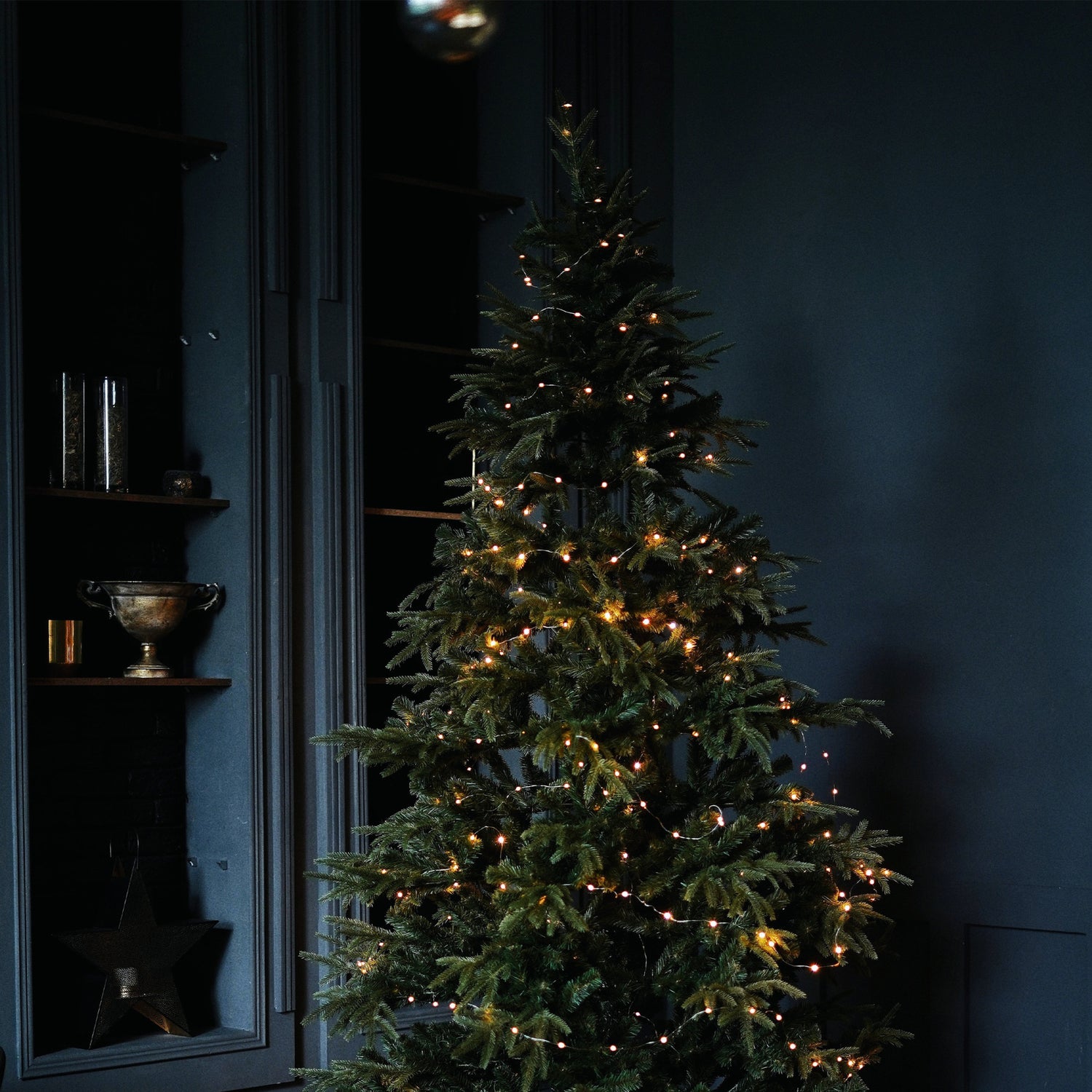 10 ft. Warm White (3000K) USB & Battery Copper Wire Fairy String Light