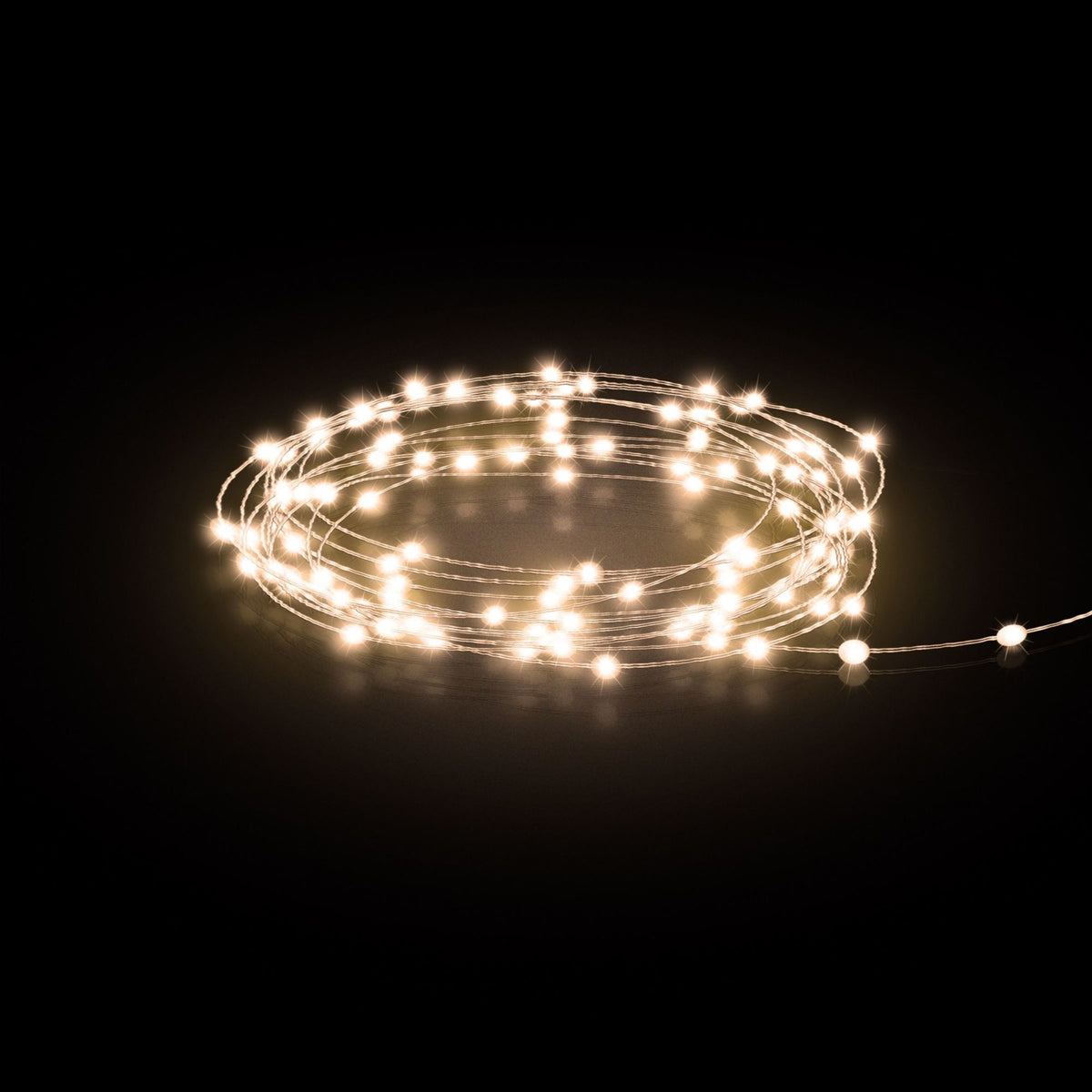 30 ft. Silver Wire Warm White LED Fairy String Light with Remote