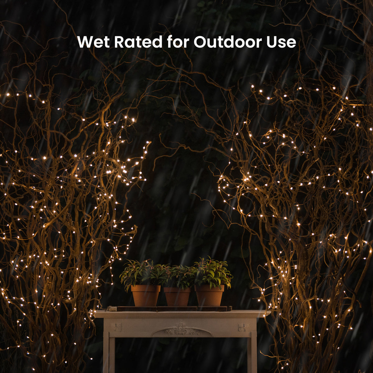 30 ft. Silver Wire Warm White LED Fairy String Light with Remote