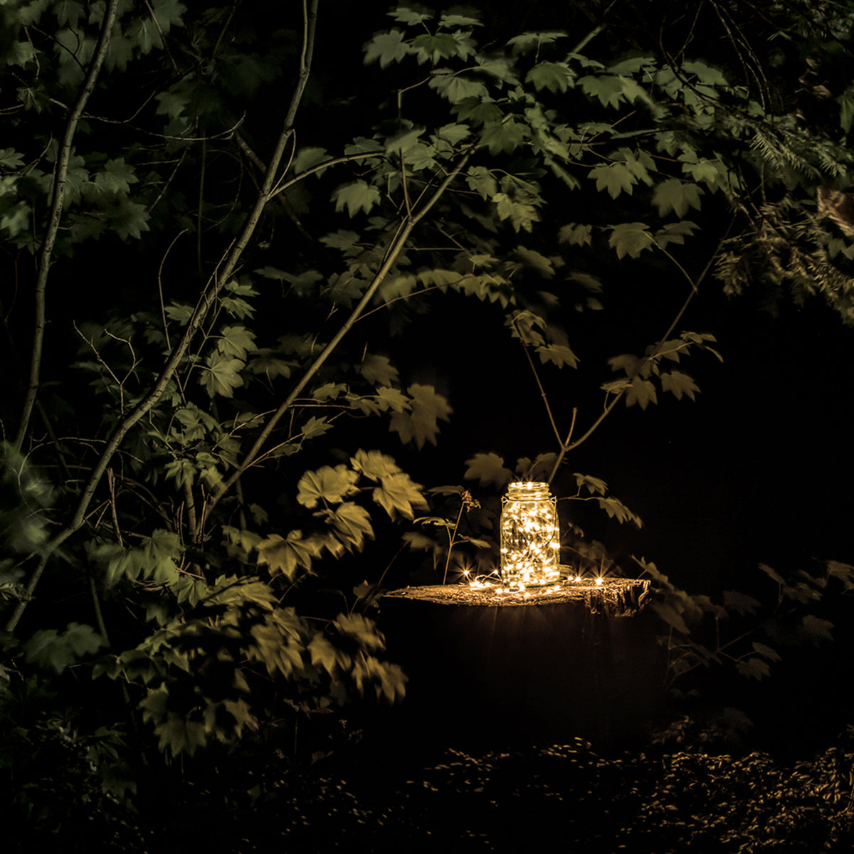 6 ft. Silver Wire Fairy String Light