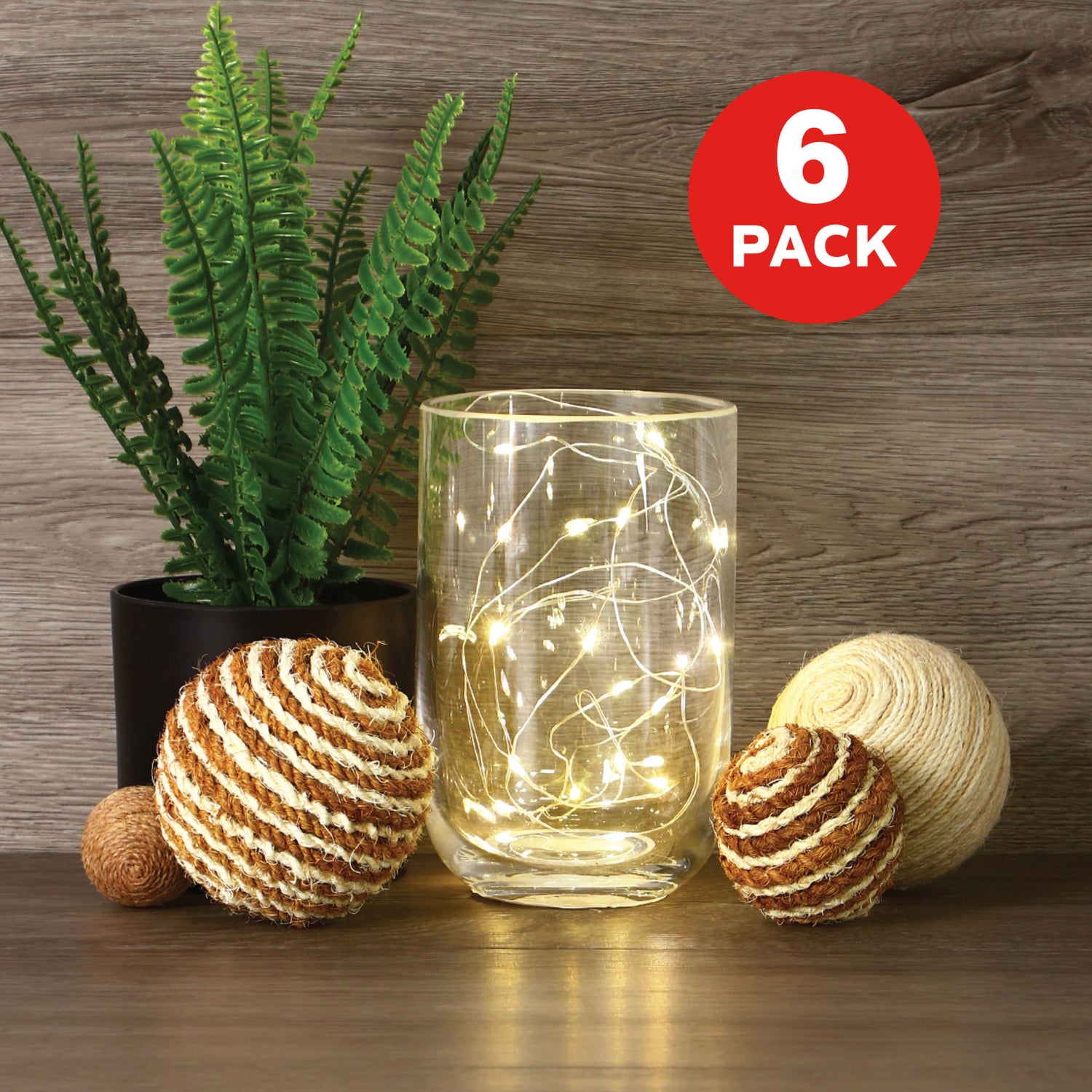6 ft. Silver Wire Fairy String Light (6-Pack)