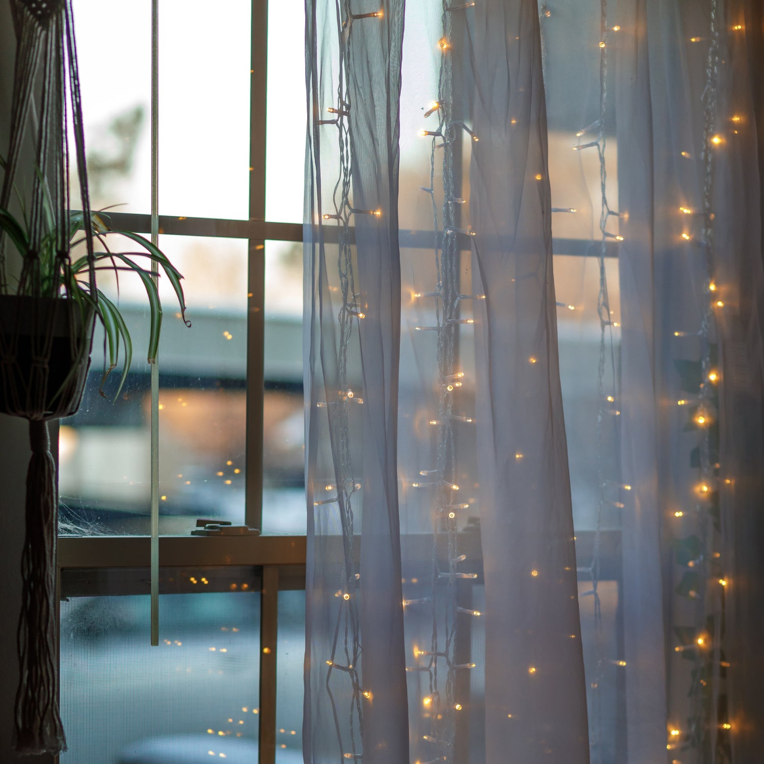 8 ft. Warm White (3000K) Fairy String Light Curtain