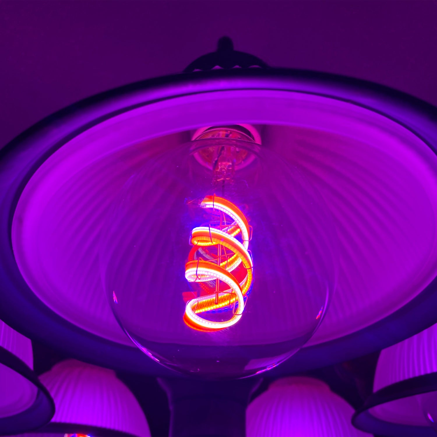 6W (60W Replacement) G30 E26 Dimmable Color Changing Spiral Filament Vintage Decorative Smart Wi-Fi LED Light Bulb
