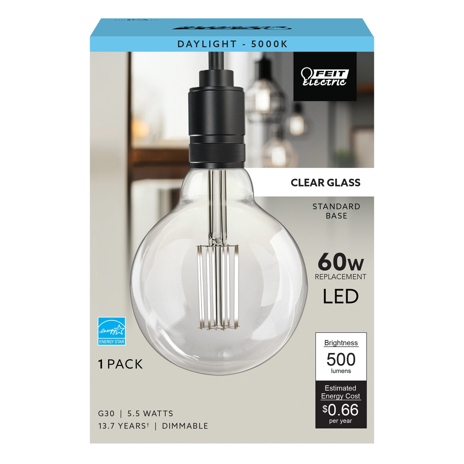 60-Watt Equivalent G30 Daylight Cage Filament LED