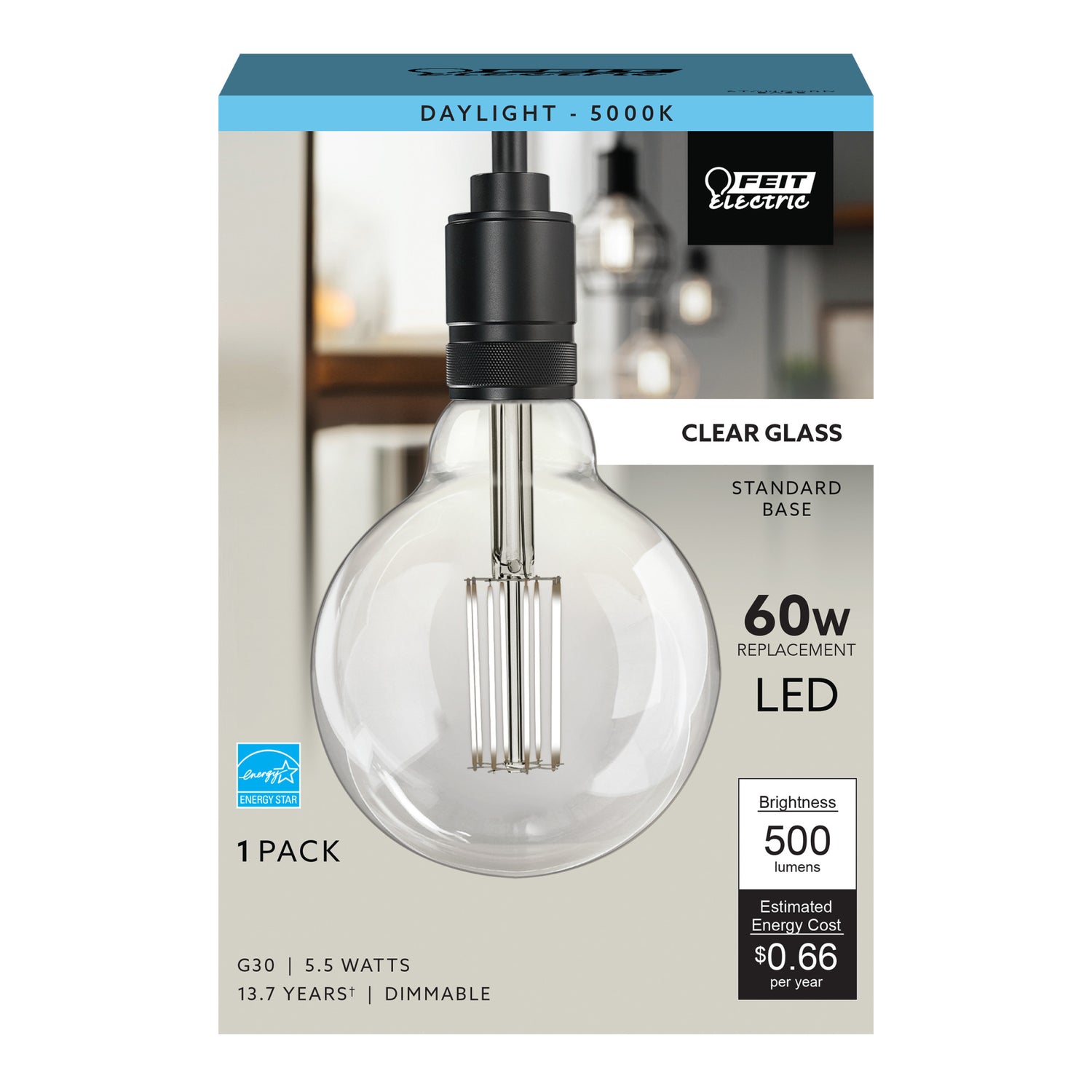 60-Watt Equivalent G30 Daylight Cage Filament LED
