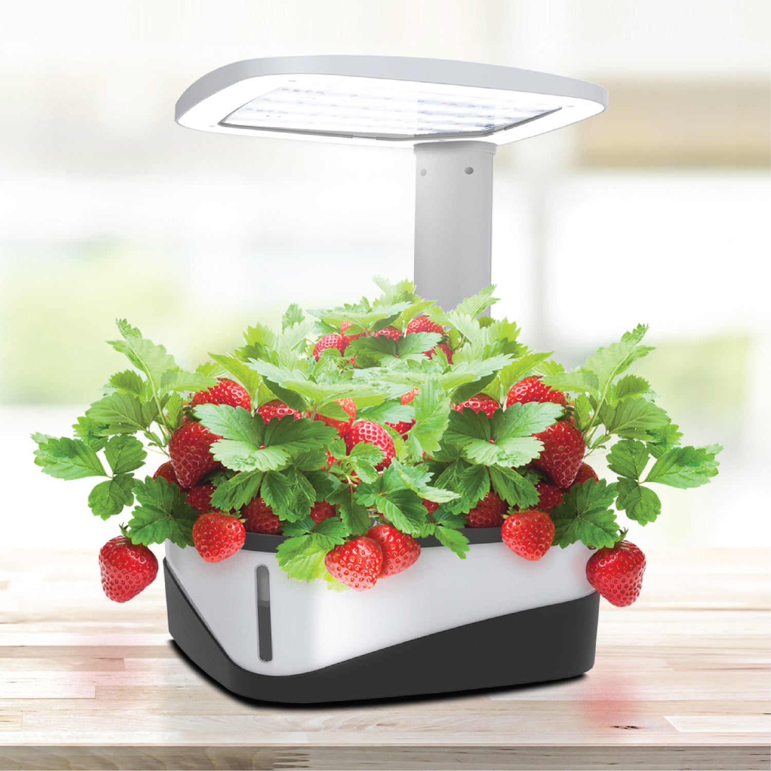 tabletop plant grow light 37W Portable Tabletop Grow Light