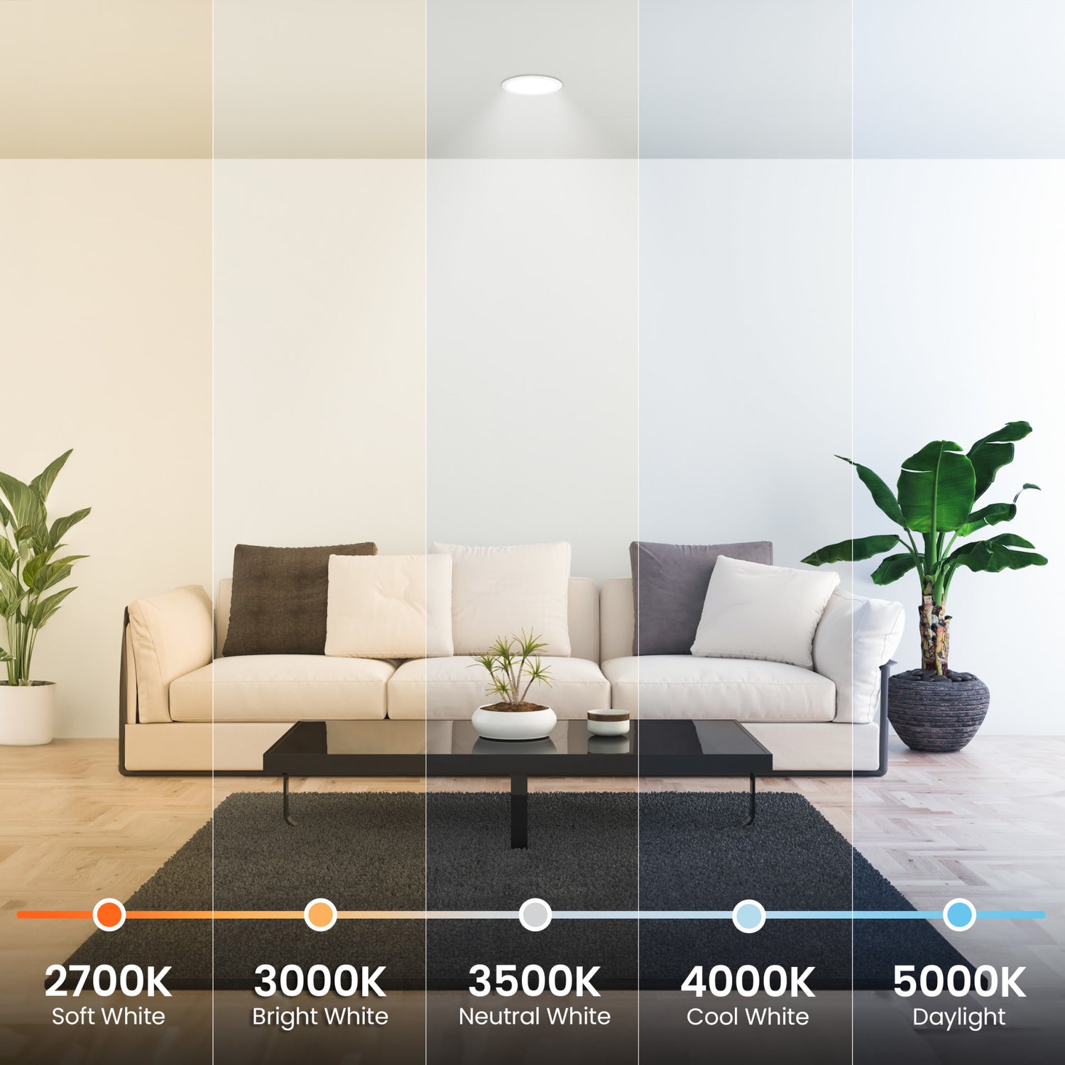 5/6 in. Lumen Select + 5-Selectable White InstaTrim LED Recessed Downlight