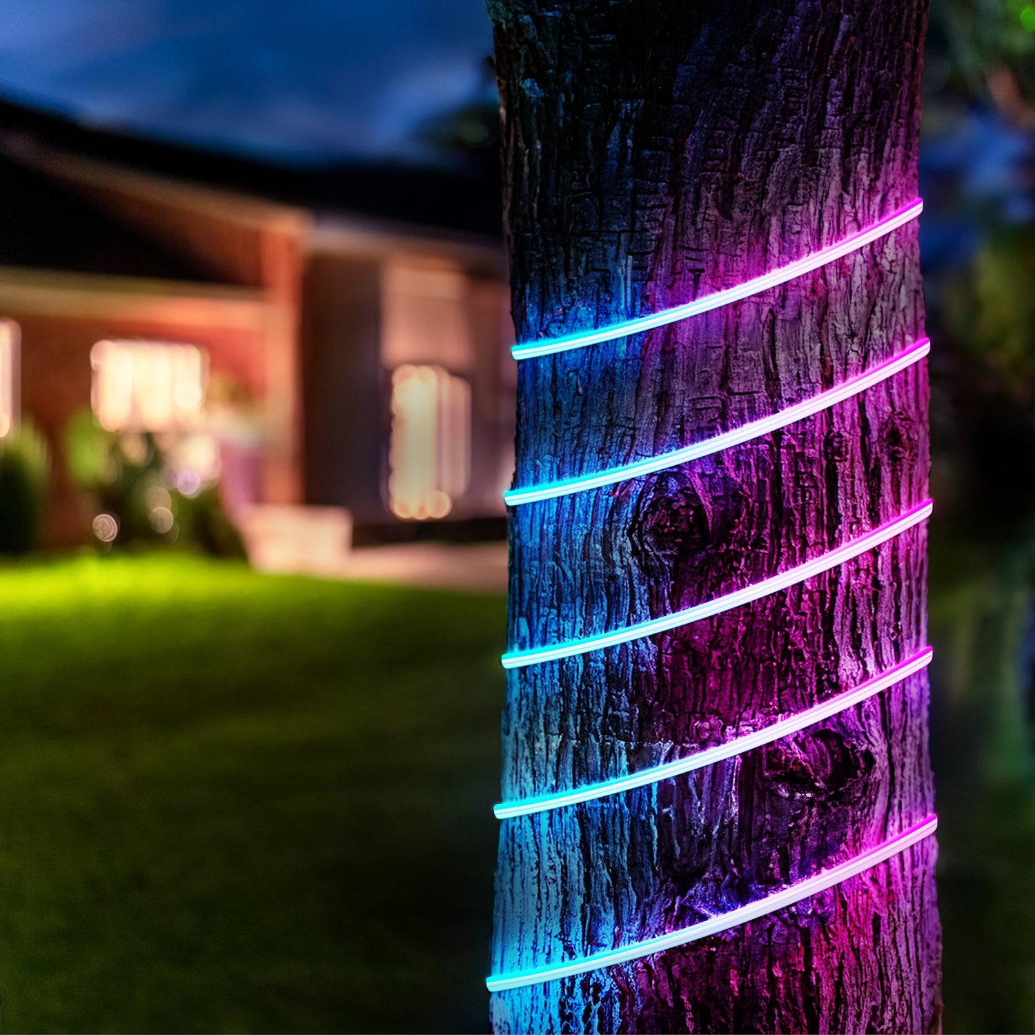10 ft Outdoor Color & Tunable White Neon Flex Light with Remote