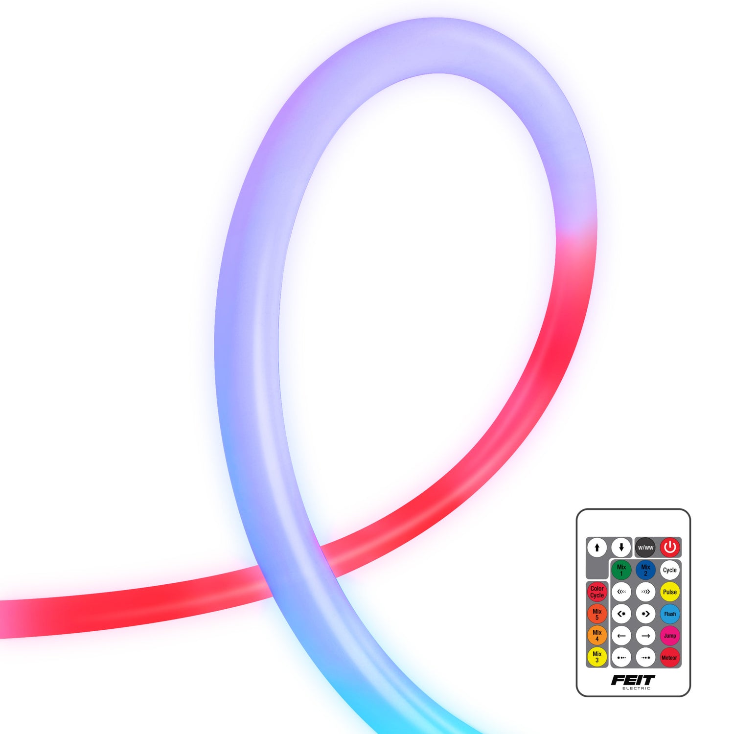 5 ft. LED 360° Color Chasing Neon Light with Remote