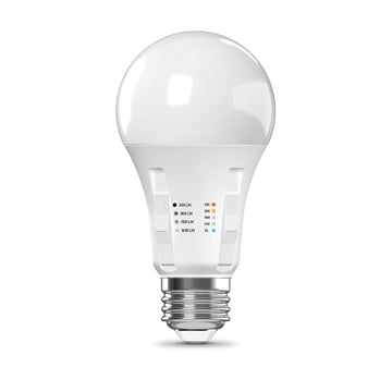 Adjustable White