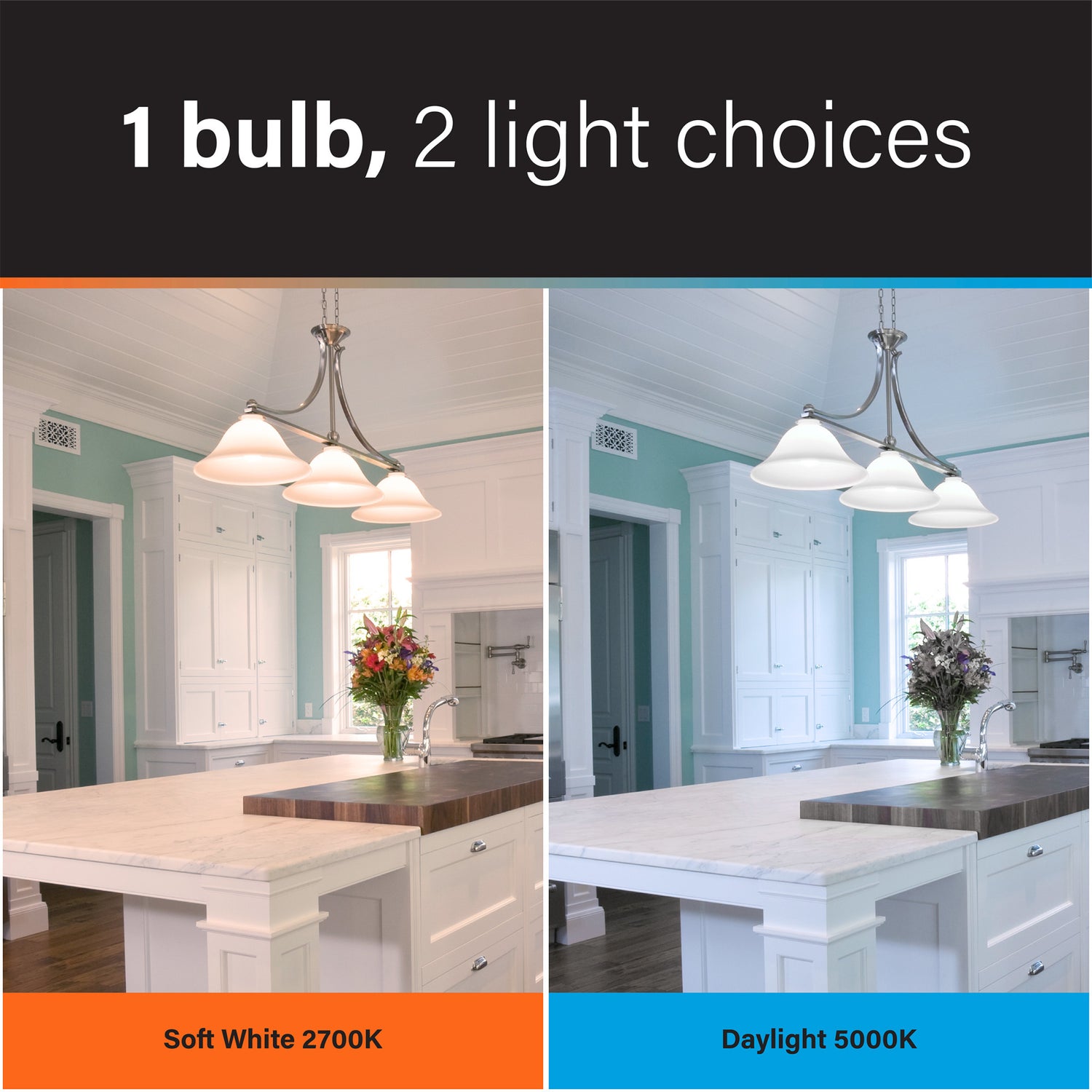 8.8W (60W Replacement) Color Selectable A19 Timer LED Bulb