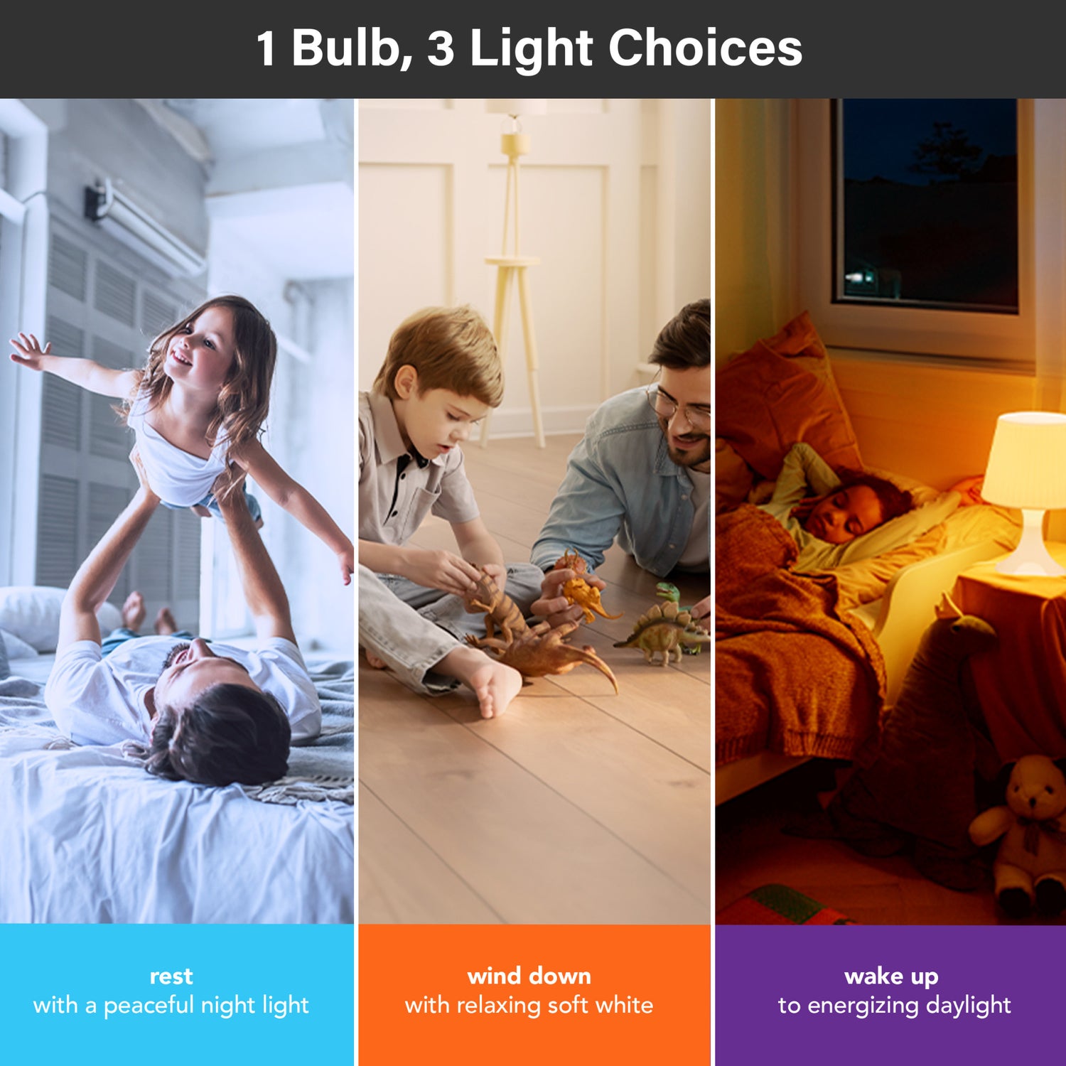 A19 Day & Night Circadian + Night Light LED Light Bulb