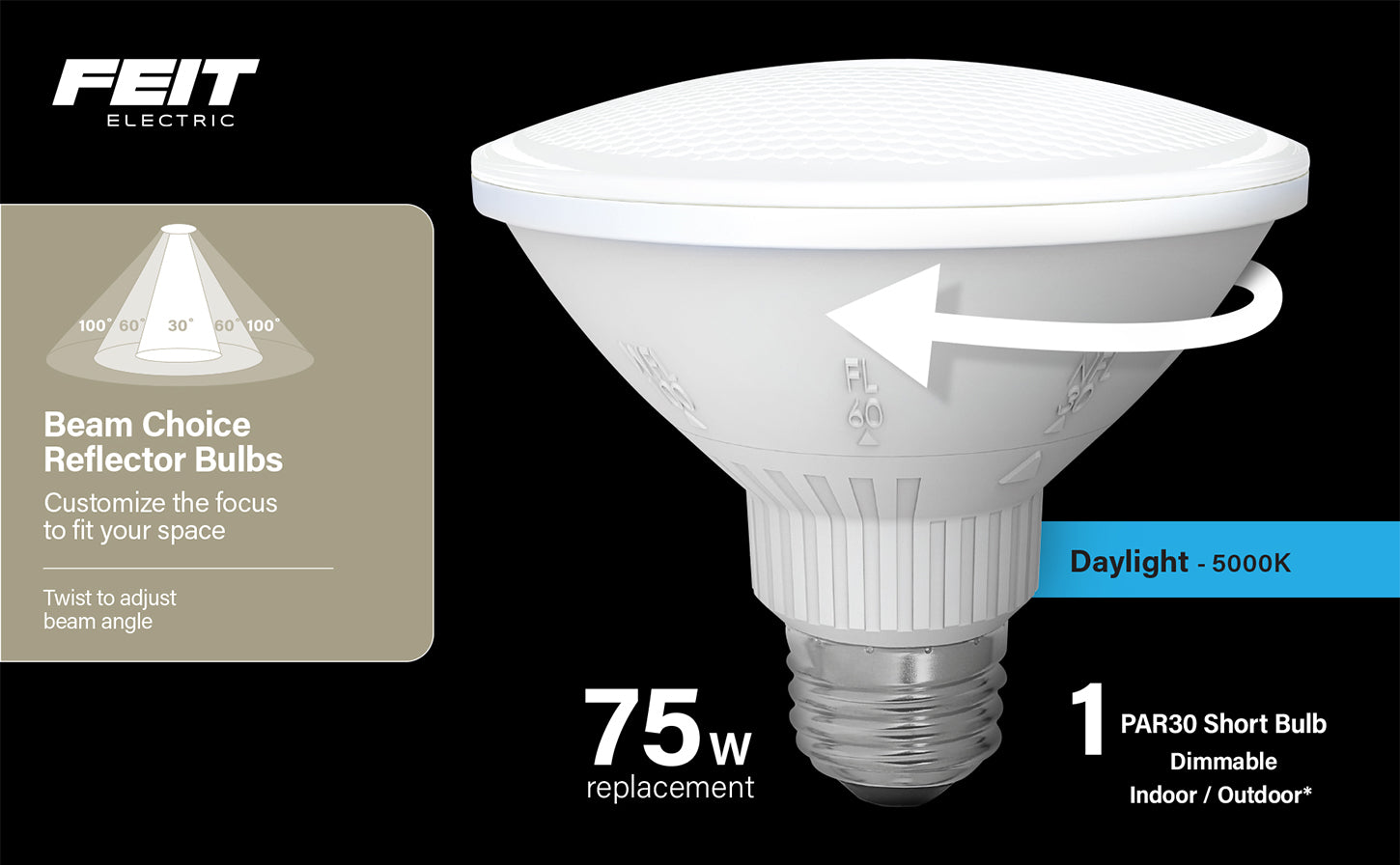 Feit par30 led hotsell