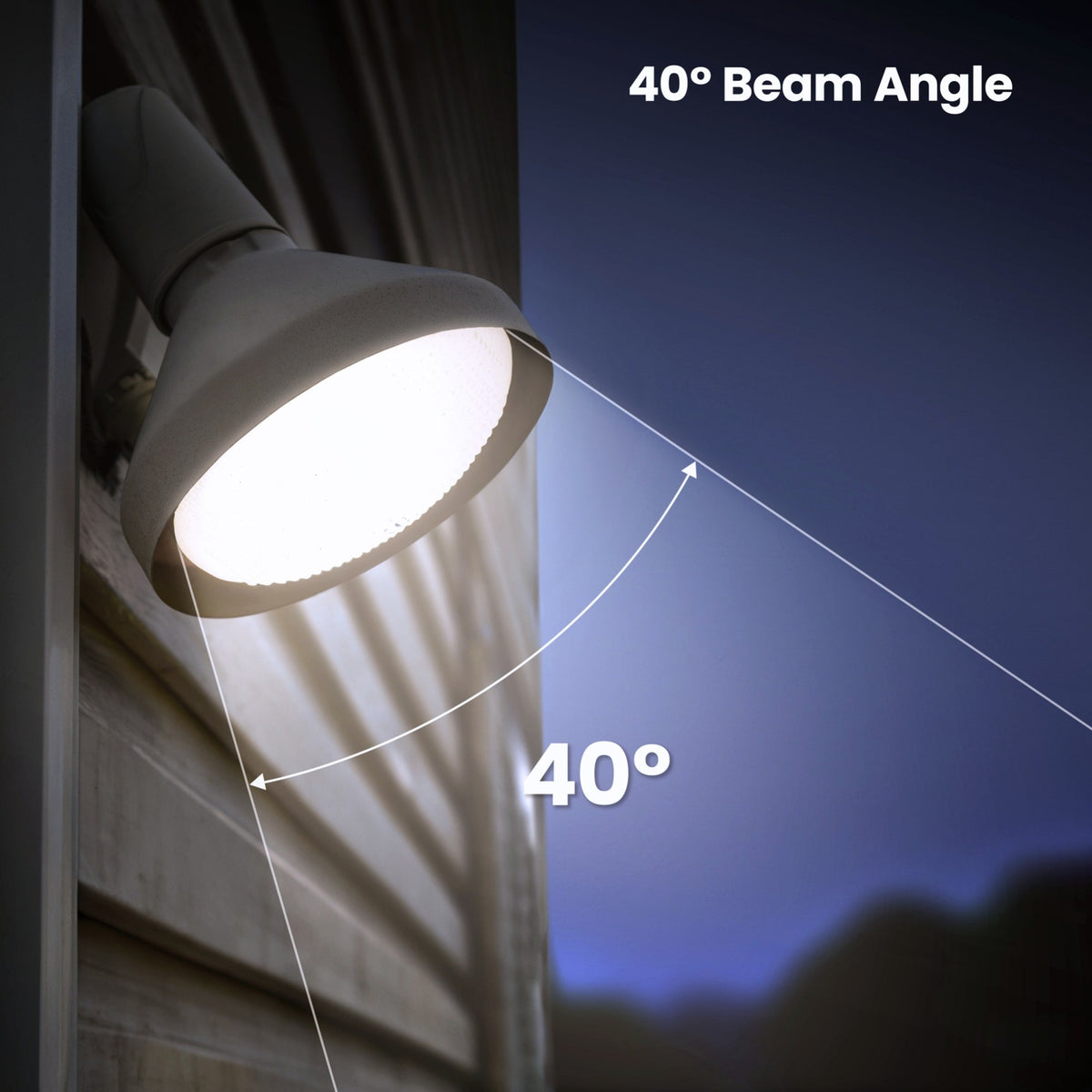16.5W (120W Replacement) Daylight (5000K) PAR38 (E26 Base) LED Light Bulbs (4-Pack)