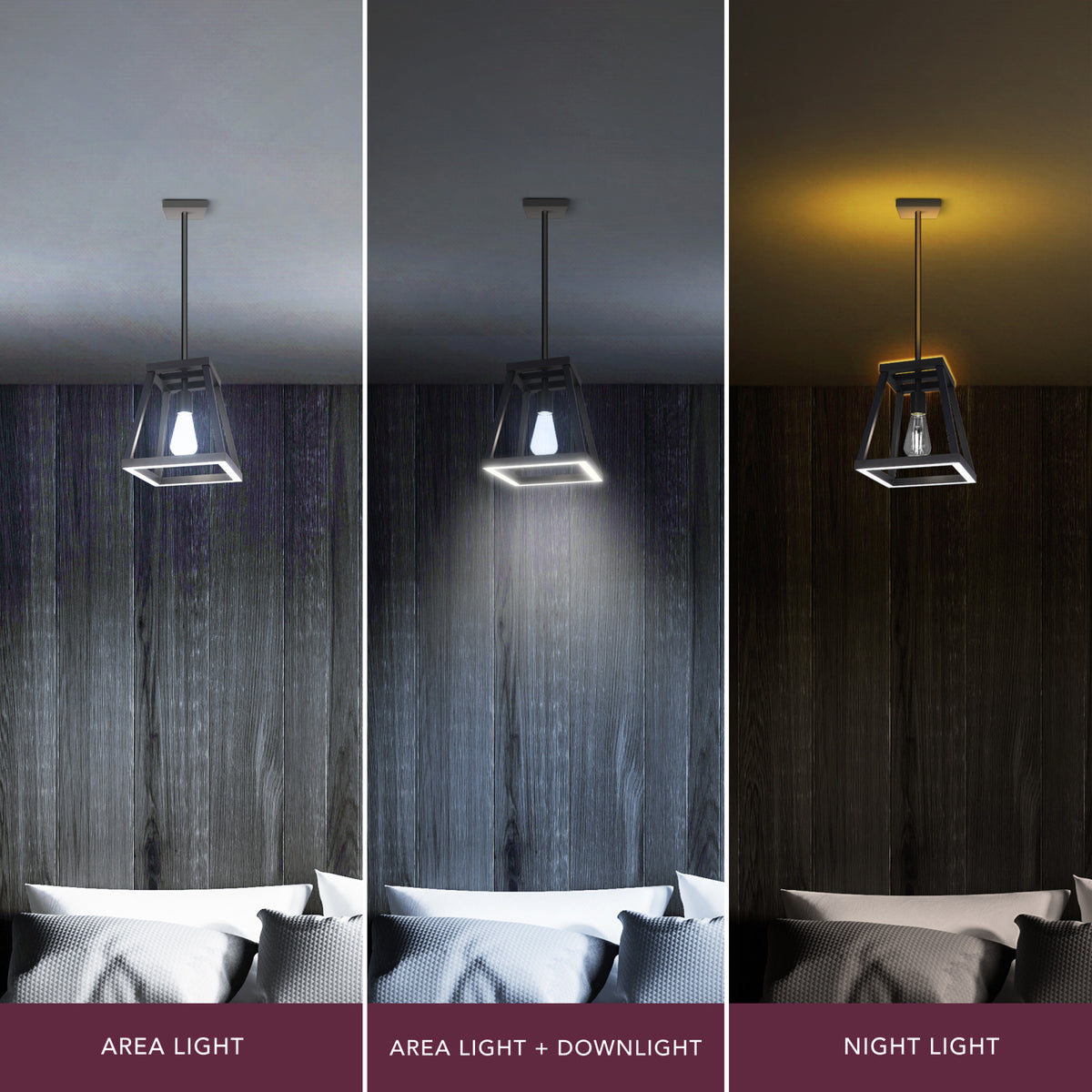Katalyst Collection LED Decorative Single Light Pendant Matte Black