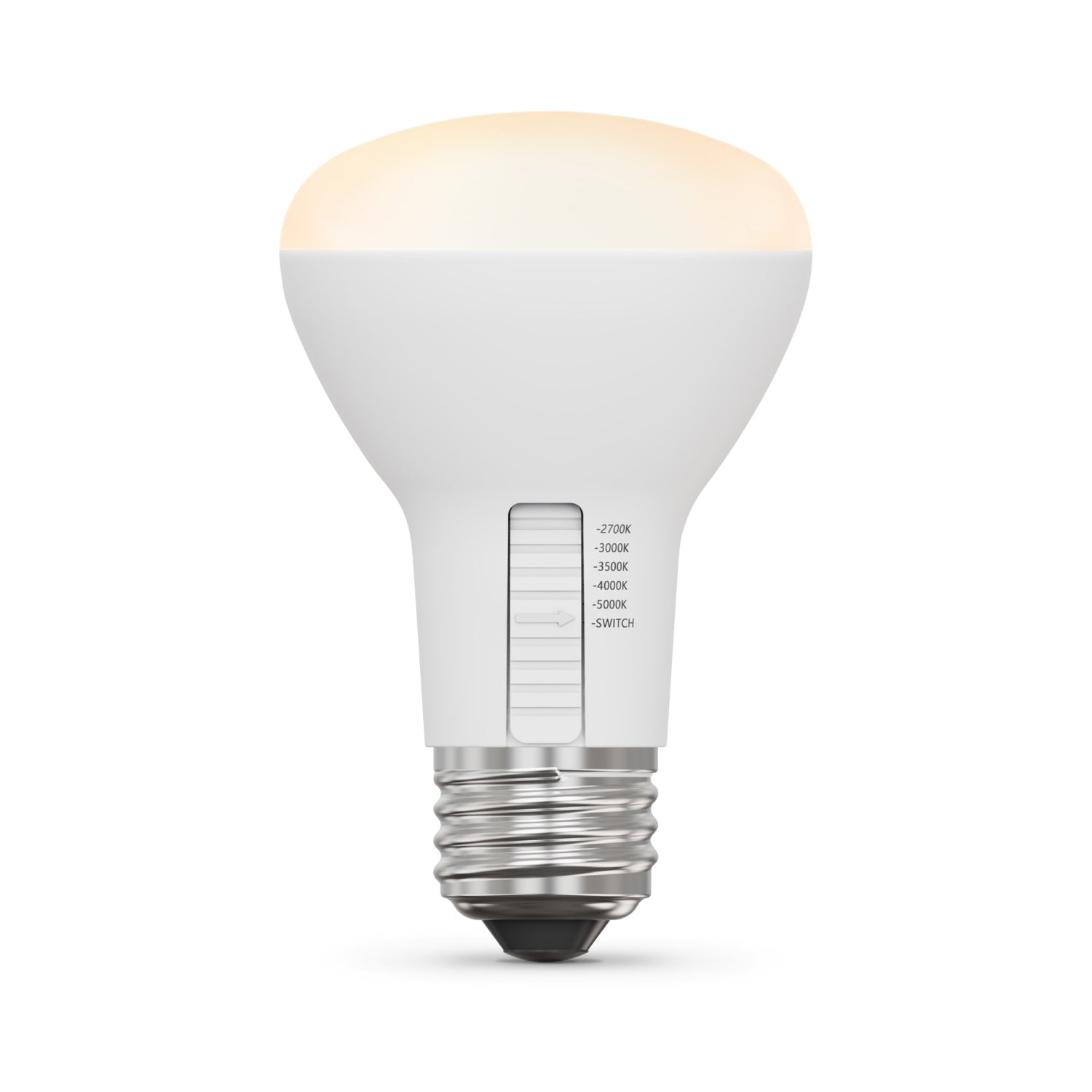 5W (45W Replacement) Adjustable White Dimmable R20 LED Bulb (2-Pack)