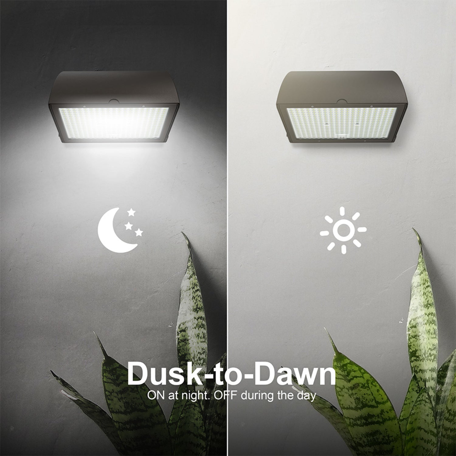 18,000 Max Selectable Lumen 3CCT Adjustable White Beam Angle Adjustable Bronze Wall Pack Light