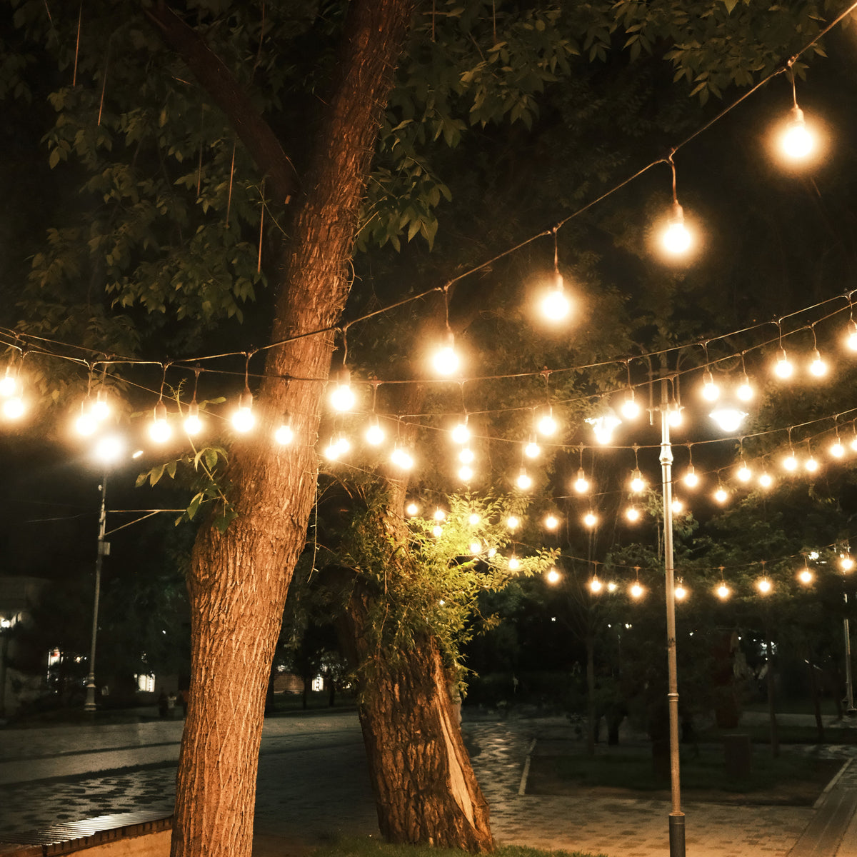 20 ft. Incandescent String Light Set
