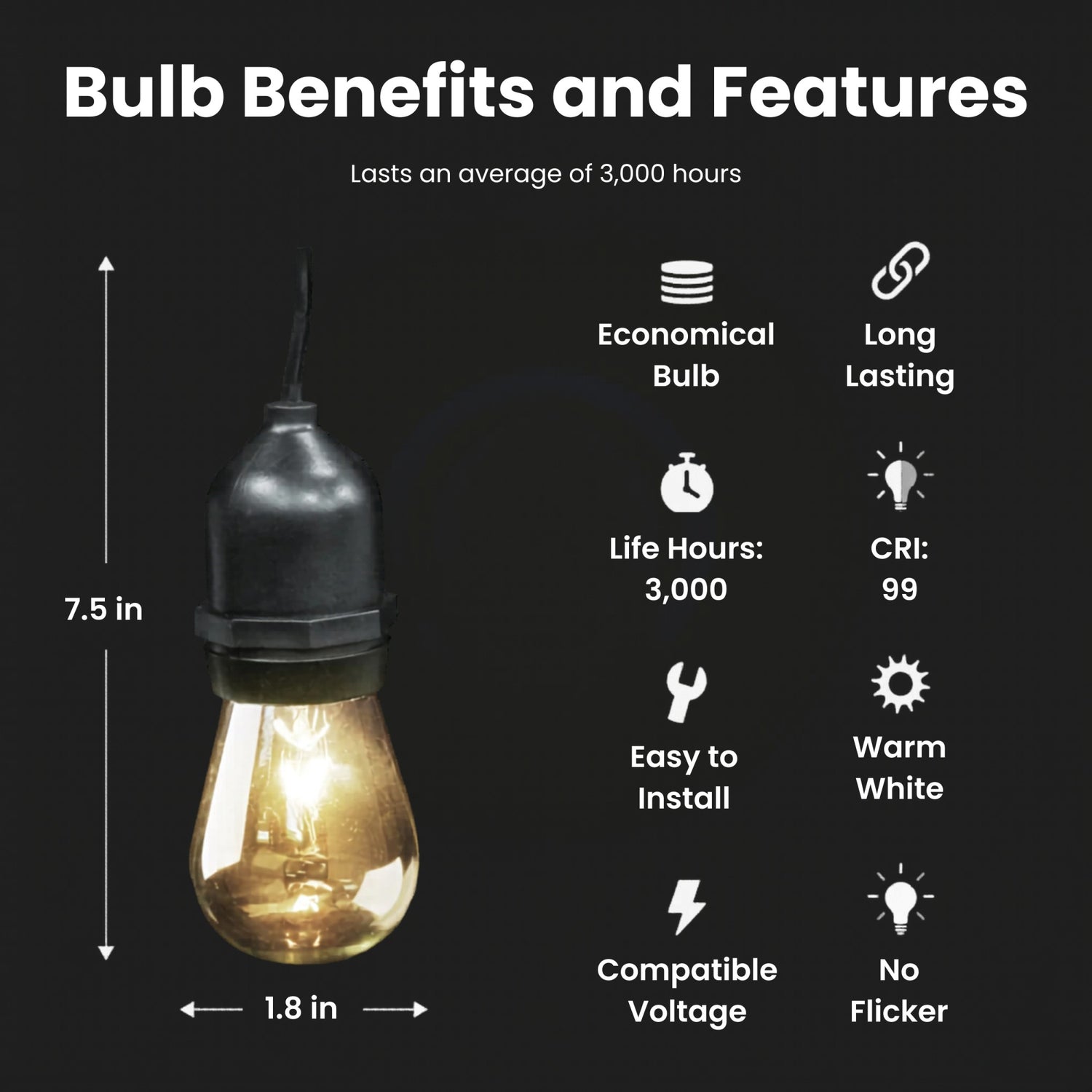 20 ft. Incandescent String Light Set