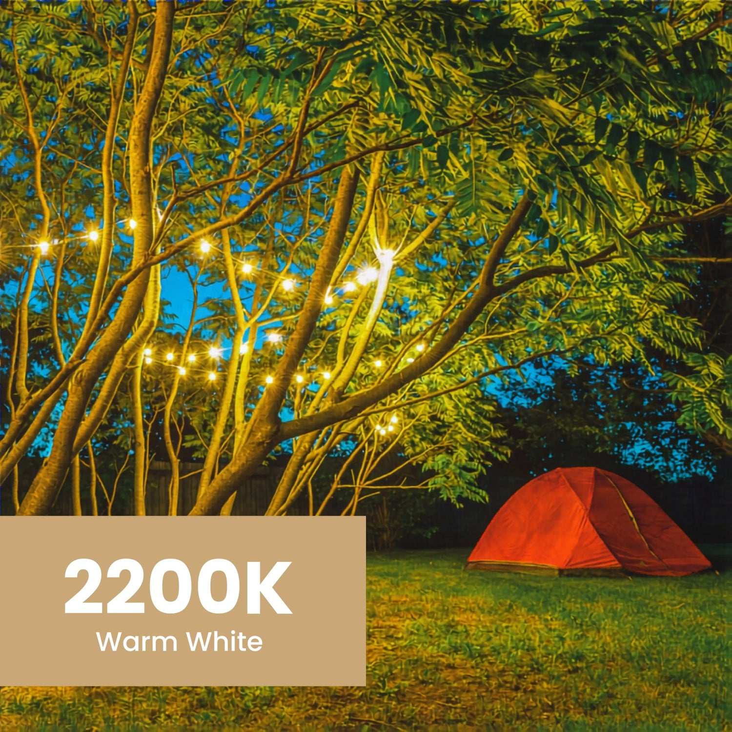 20 ft. Incandescent String Light Set