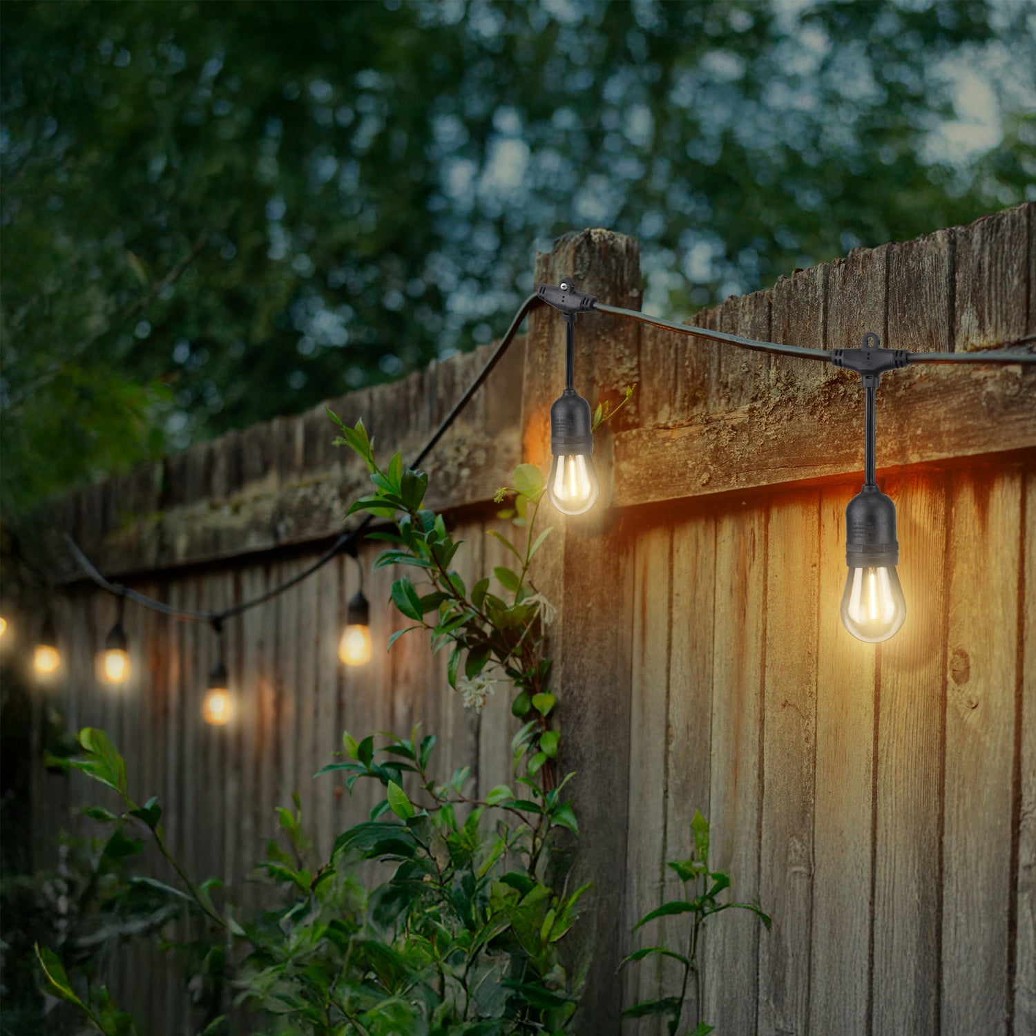 48 ft. Filament LED String Light (3-Pack)