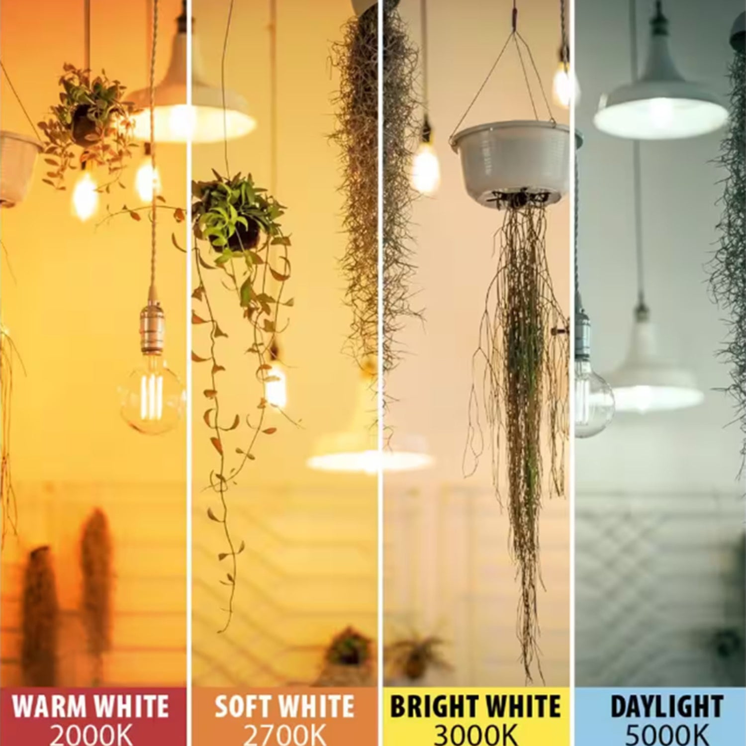 5.5W (60W Replacement) ST19 E26 Dimmable Straight Filament Amber Glass Vintage Edison LED Light Bulb, Warm Light (4-Pack)