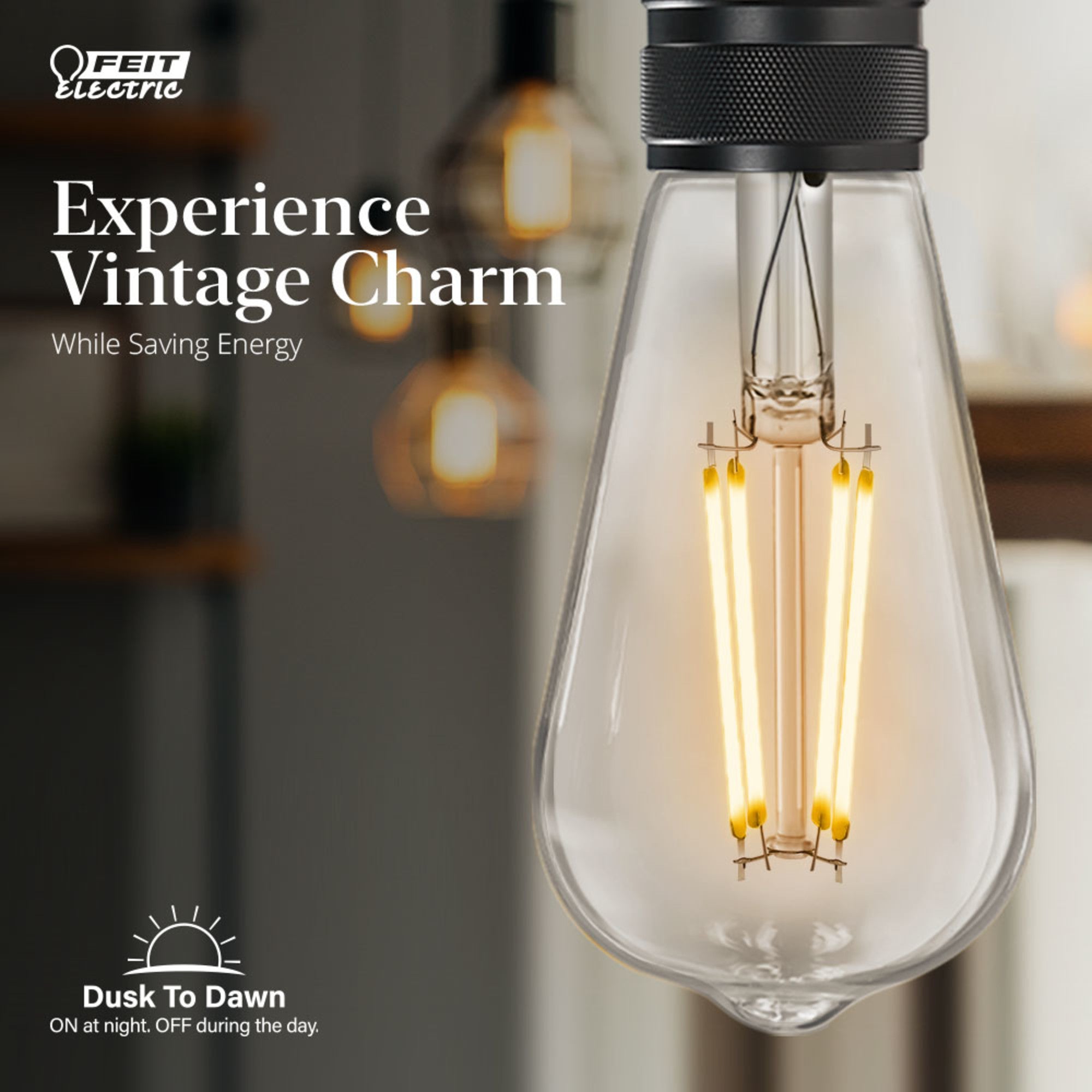 12W (100W Replacement) ST19 E26 Non-Dimmable Straight Filament