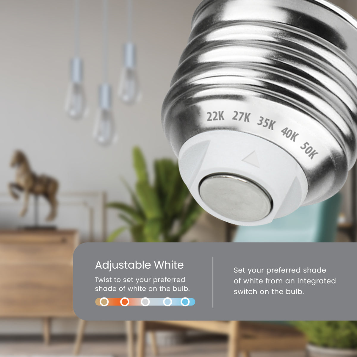 8.8W (60W Replacement) Adjustable White 5CCT E26 Base ST19 LED White Filament Bulb (2-Pack)