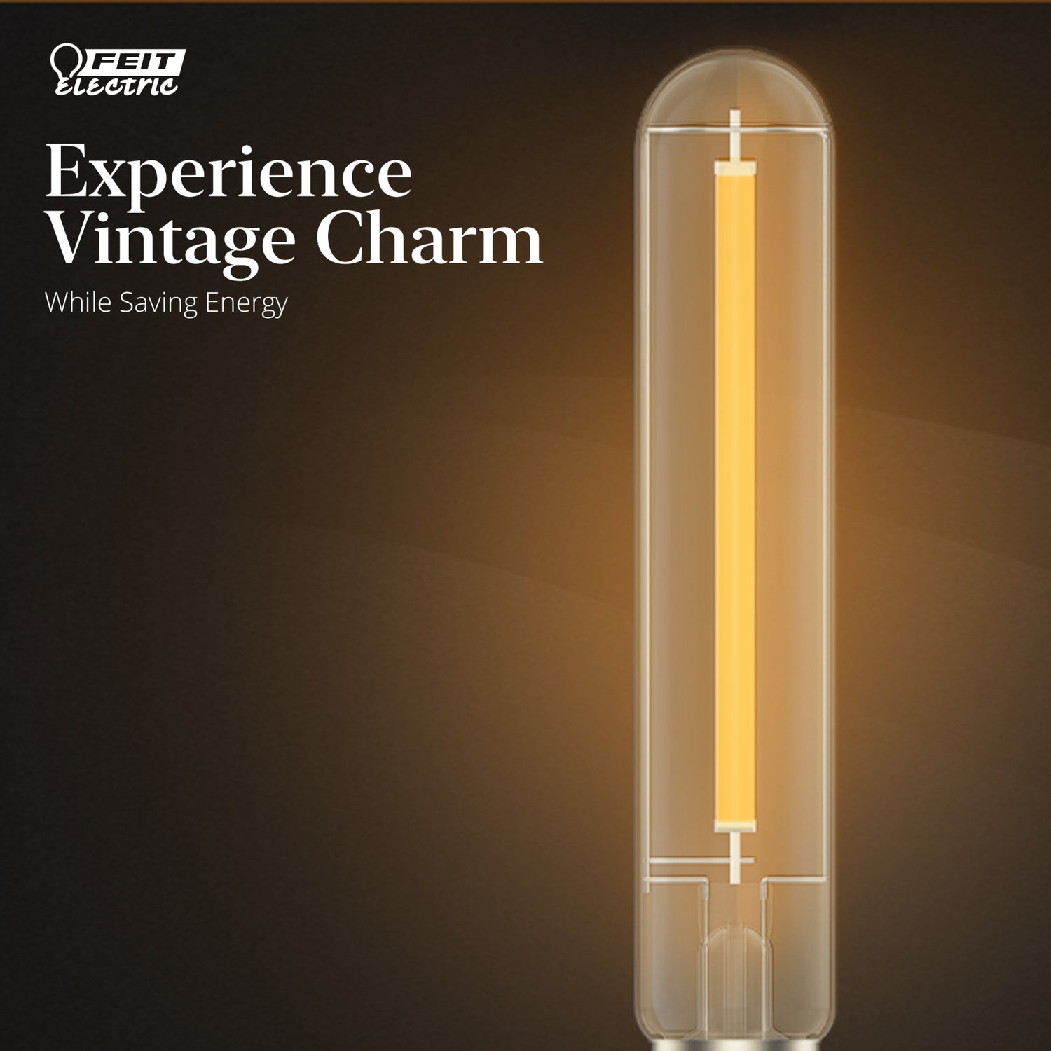 6.5W (60W Replacement) T10 E26 Dimmable Straight Filament Amber Glass Vintage Edison LED Light Bulb, Warm Light (4-Pack)