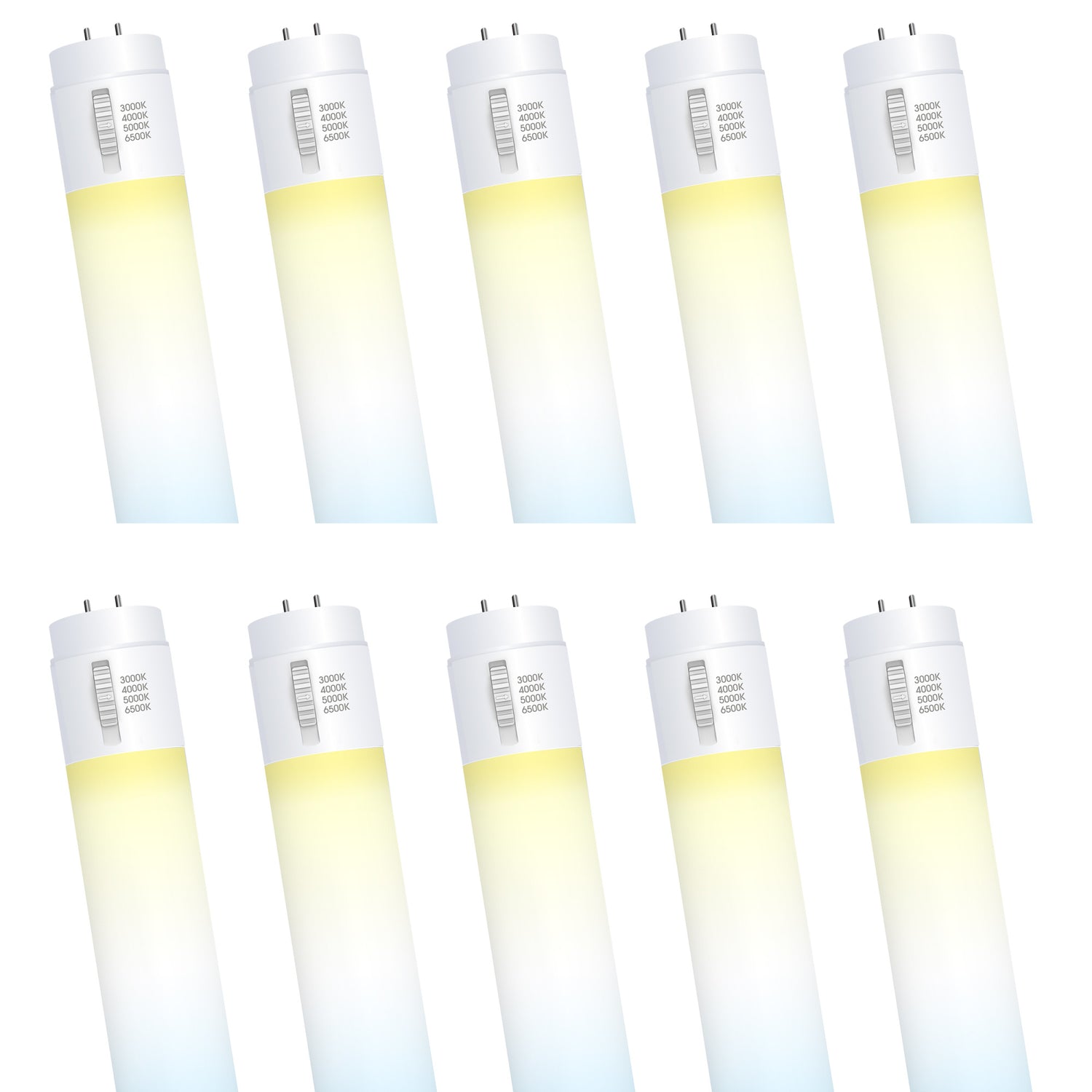 4 ft. 20W (40W Replacement) Adjustable White T12 Direct Replacement (Type A) LED Light Bulb (10-Pack)