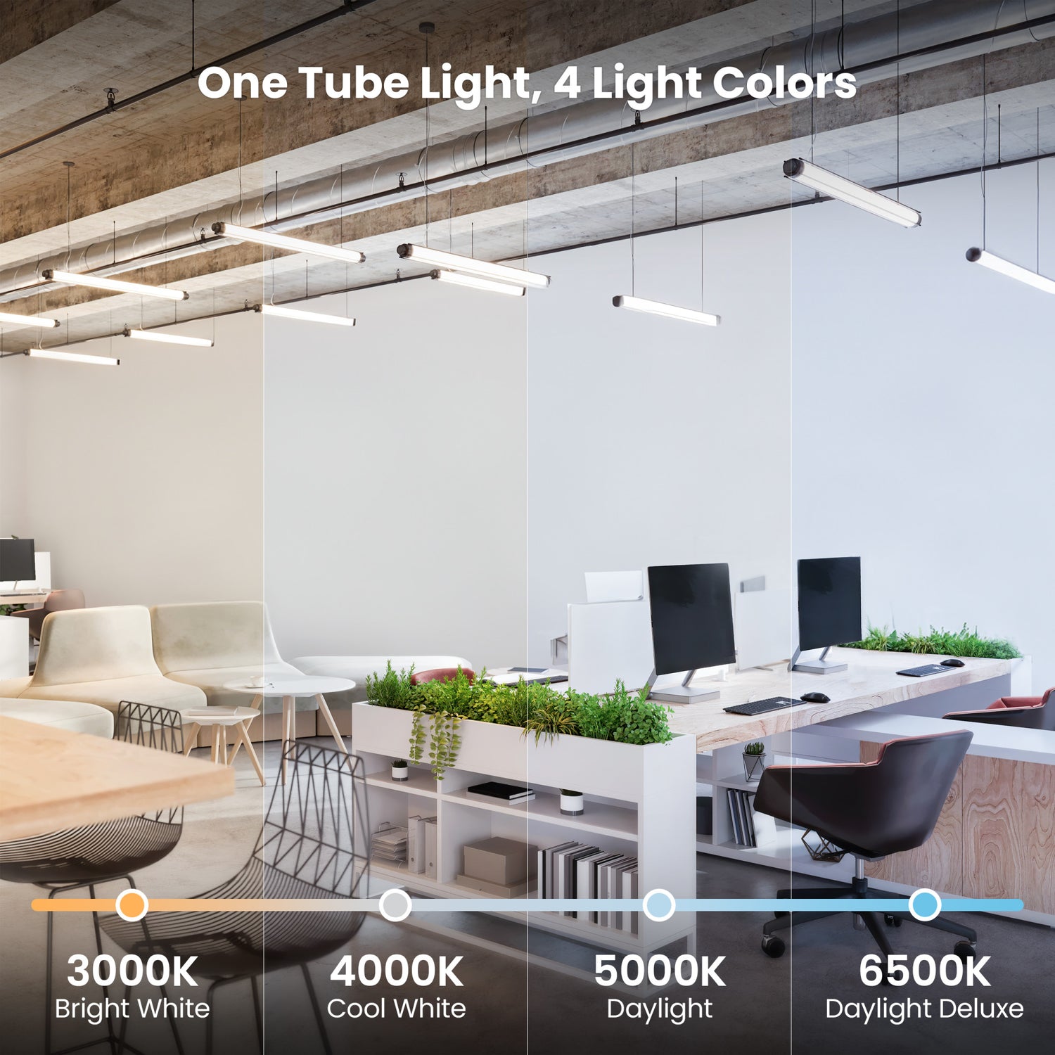 4 ft. 20W (40W Replacement) Adjustable White T12 Direct Replacement (Type A) LED Light Bulb (10-Pack)