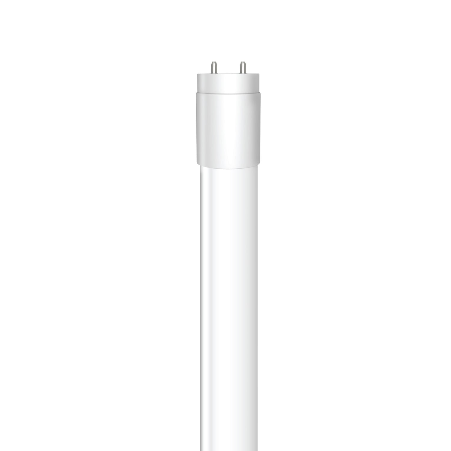 4 ft. 14W Cool White (4100K) T8/T12 Direct Replacement (Type A) LED Tube (2-Pack)