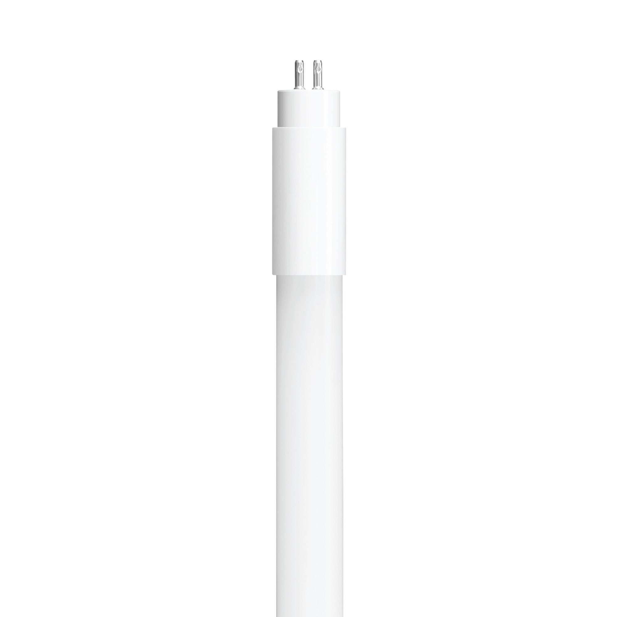 T534-4CCT-LED-2026-04-