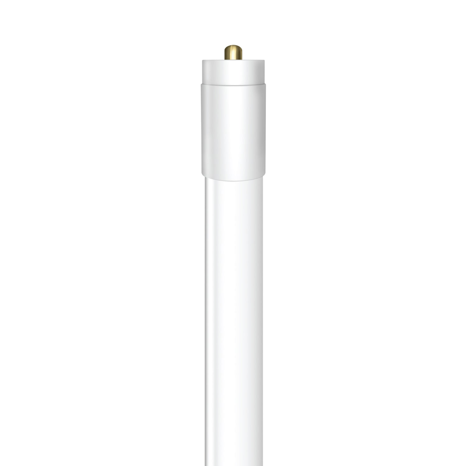 8 ft. 40W (59W Replacement) Daylight (5000K) FA8 Base (T8 and T12 Replacement) Ballast Bypass (Type B) LED Linear Tube (2-Pack)