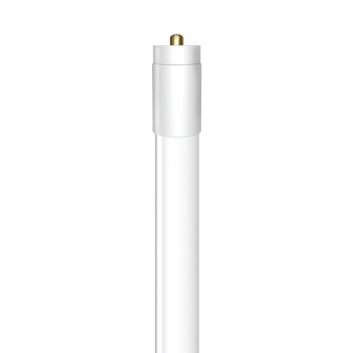 8 ft. 40W (59W Replacement) Daylight (5000K) FA8 Base (T8 and T12 Replacement) Ballast Bypass (Type B) LED Linear Tube (2-Pack)