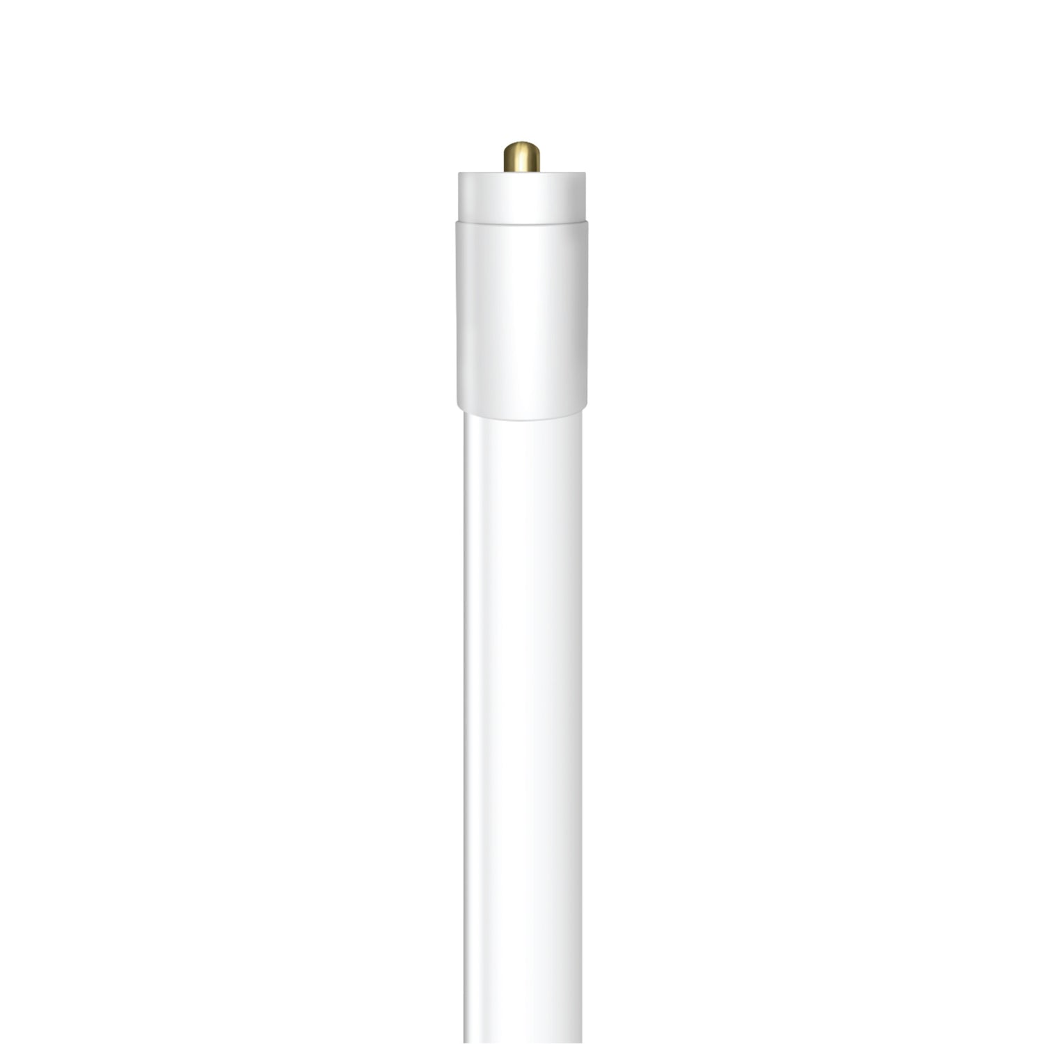 8 ft.  65W T8 Cool White (4000K) G13 Base Type B HO LED Linear Tube with R17d and FA8 Adapters (2-Pack)