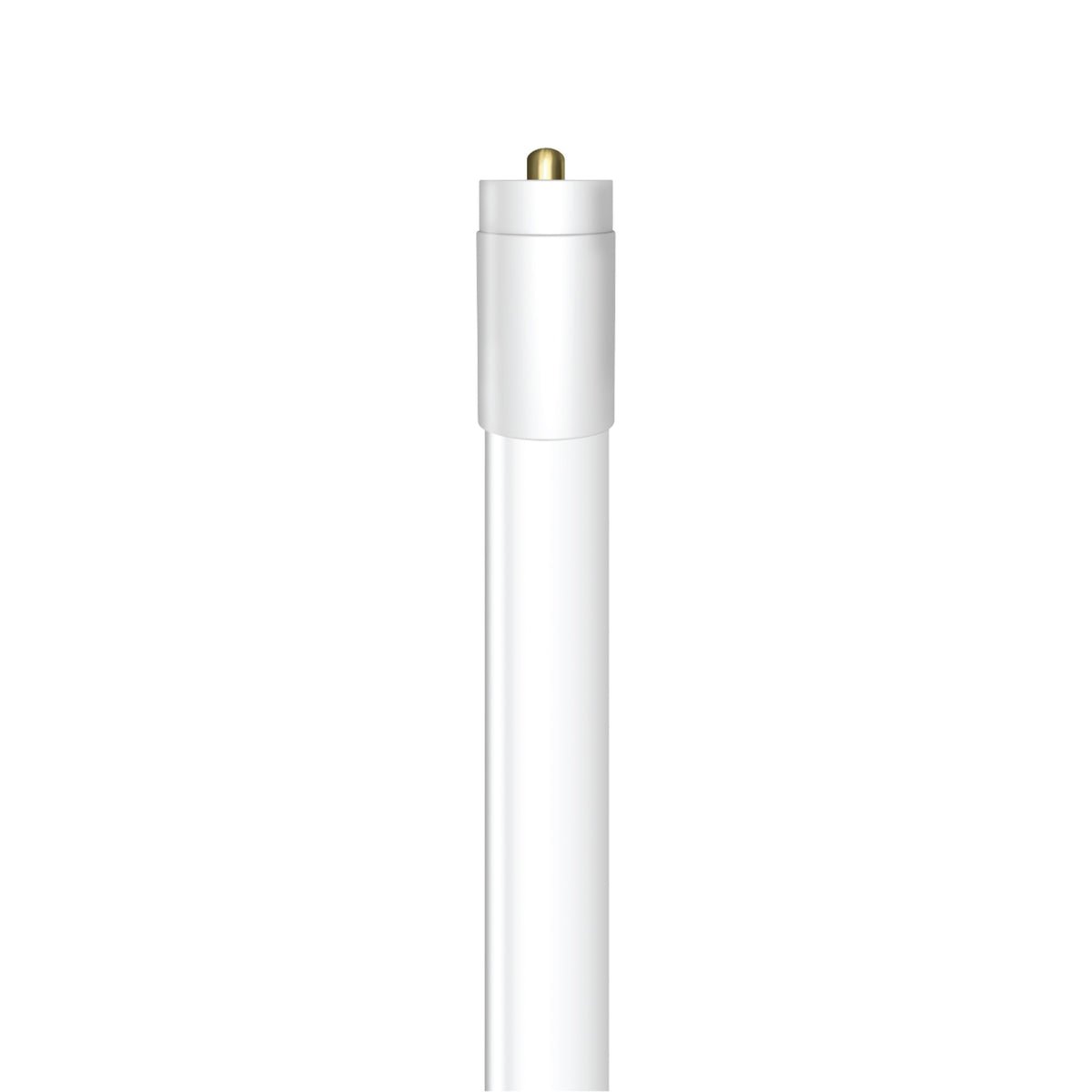 8 ft.  65W T8 Cool White (4000K) G13 Base Type B HO LED Linear Tube with R17d and FA8 Adapters (2-Pack)