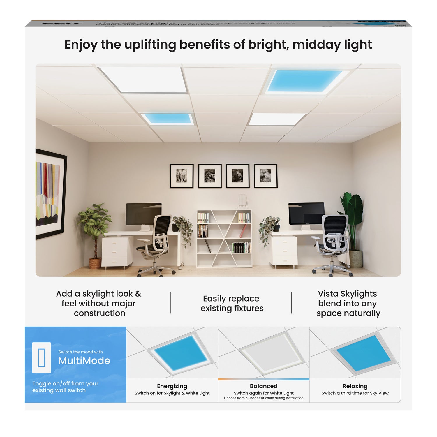 Vista 2 ft. x 2 ft. Troffer LED Skylight Drop Ceiling Light Fixture