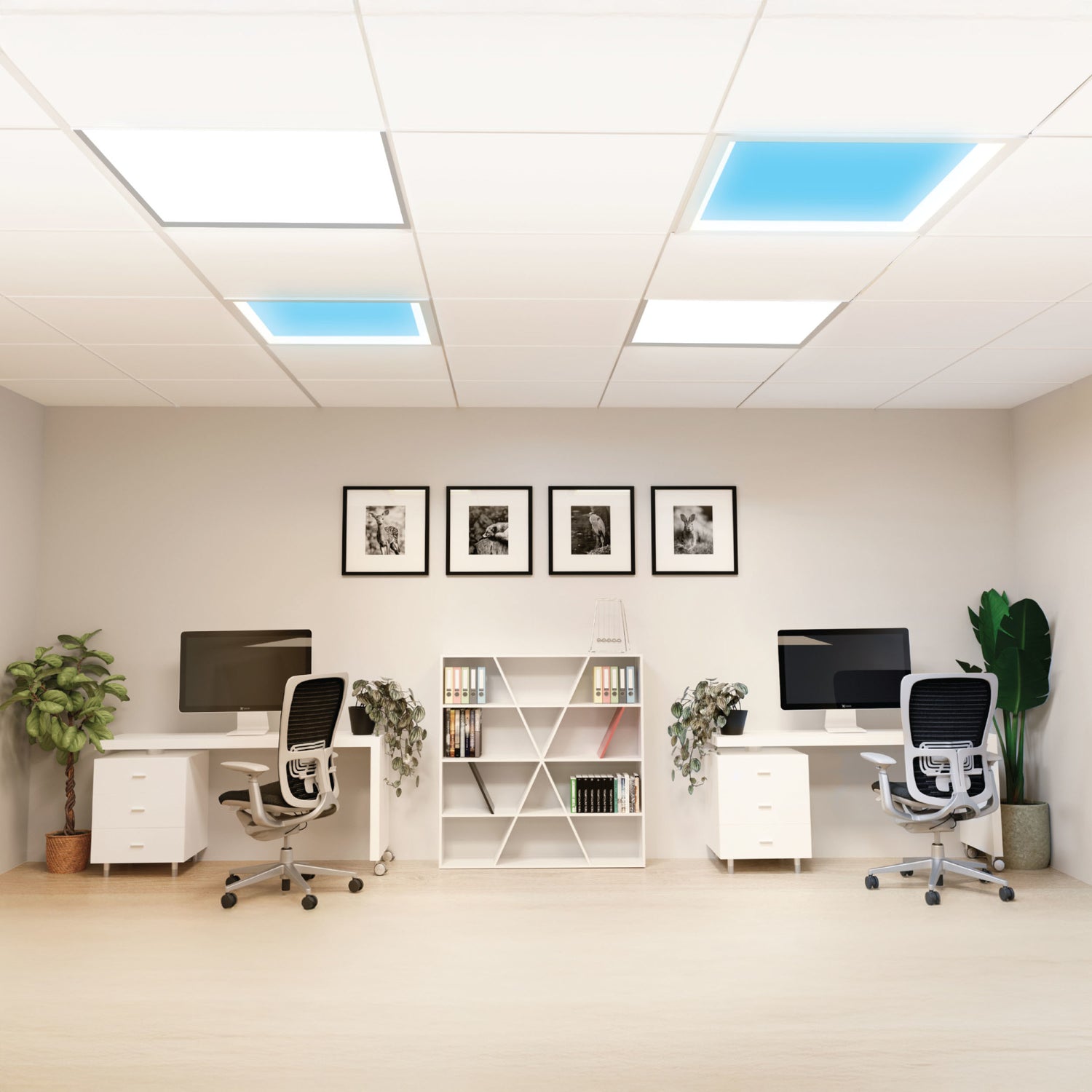 Vista 2 ft. x 2 ft. Troffer LED Skylight Drop Ceiling Light Fixture