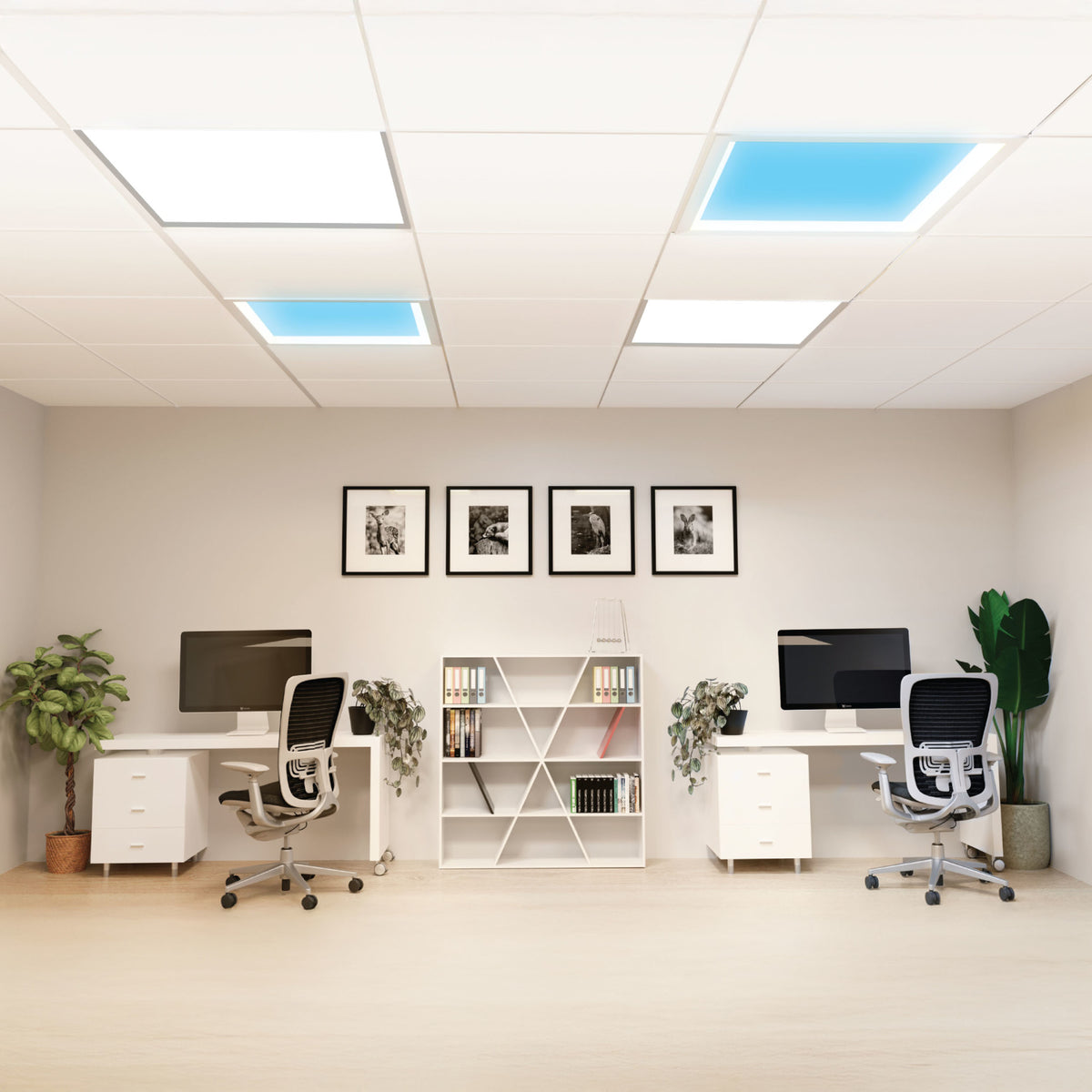Vista 2 ft. x 2 ft. Troffer LED Skylight Drop Ceiling Light Fixture