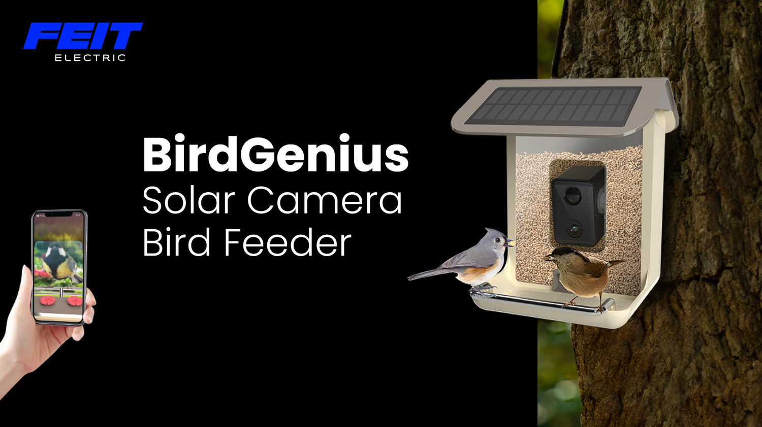 2.5L Smart Solar Camera Bird Feeder