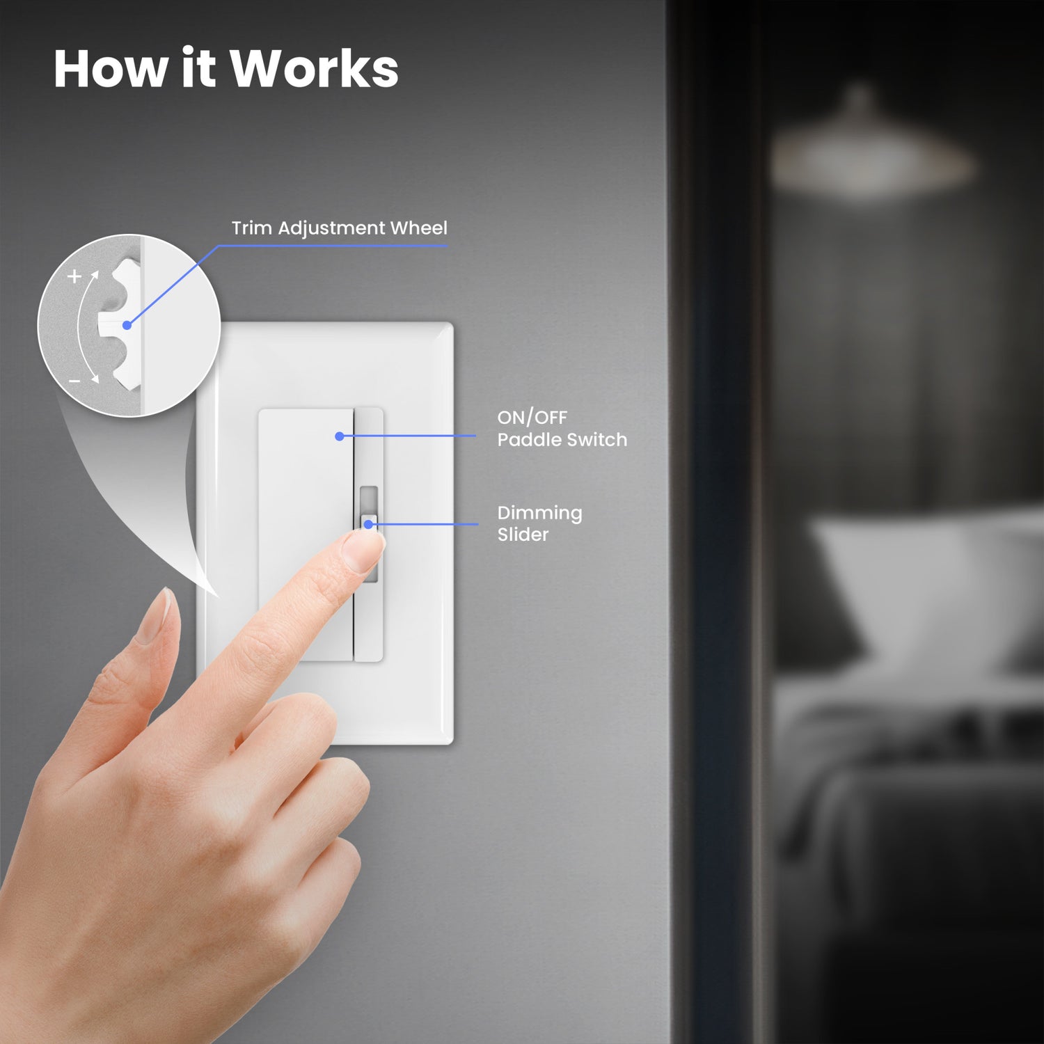 Paddle Switch and Slide Dimmer (2-Pack)