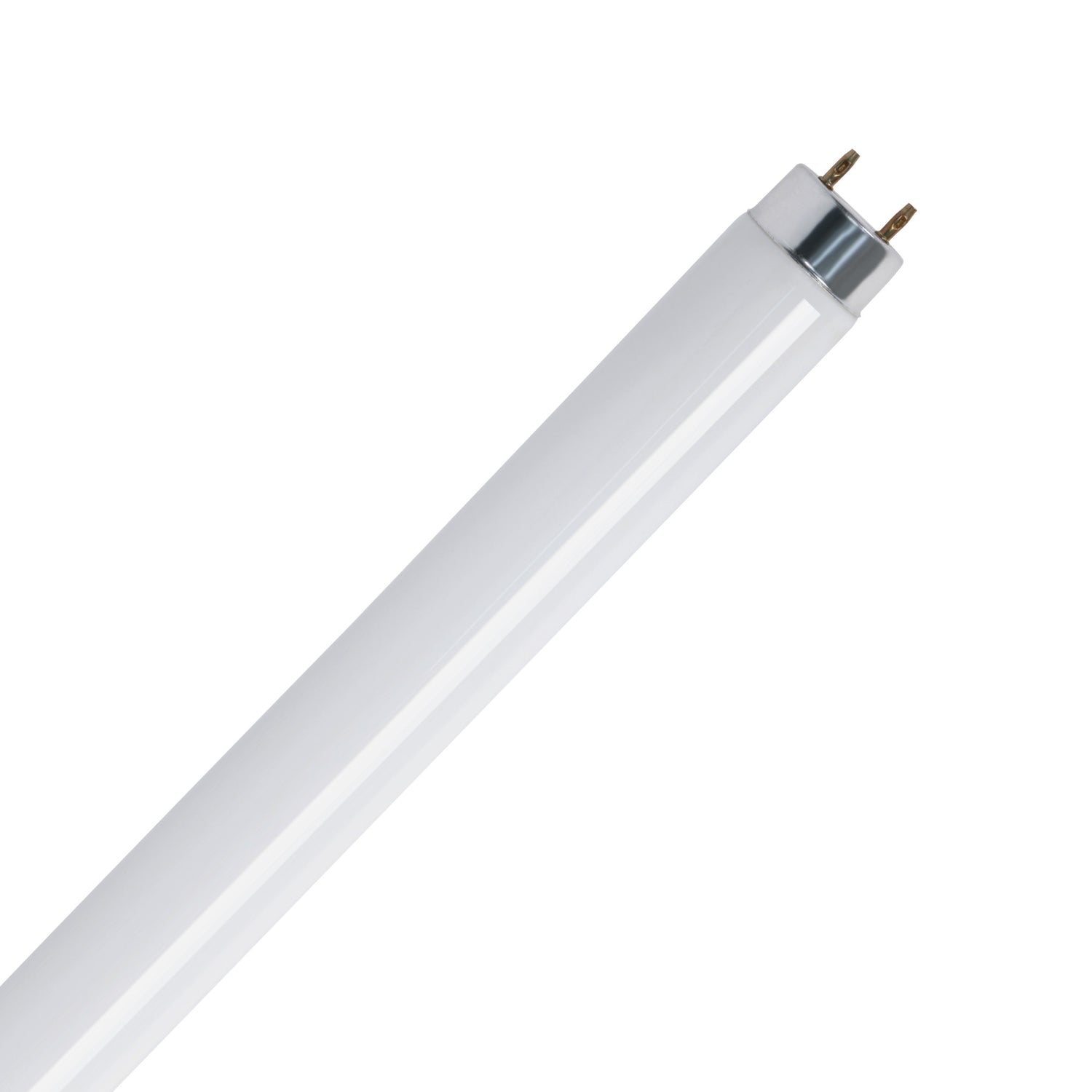 18 in. 15W Daylight Deluxe (6500K) G13 Base (T8 Replacement) Fluorescent Linear Light Tube
