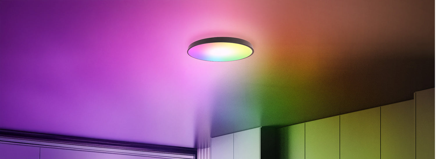 Smart Ceiling Lights