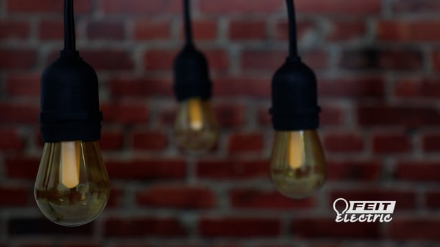 Feit smart string lights cheap